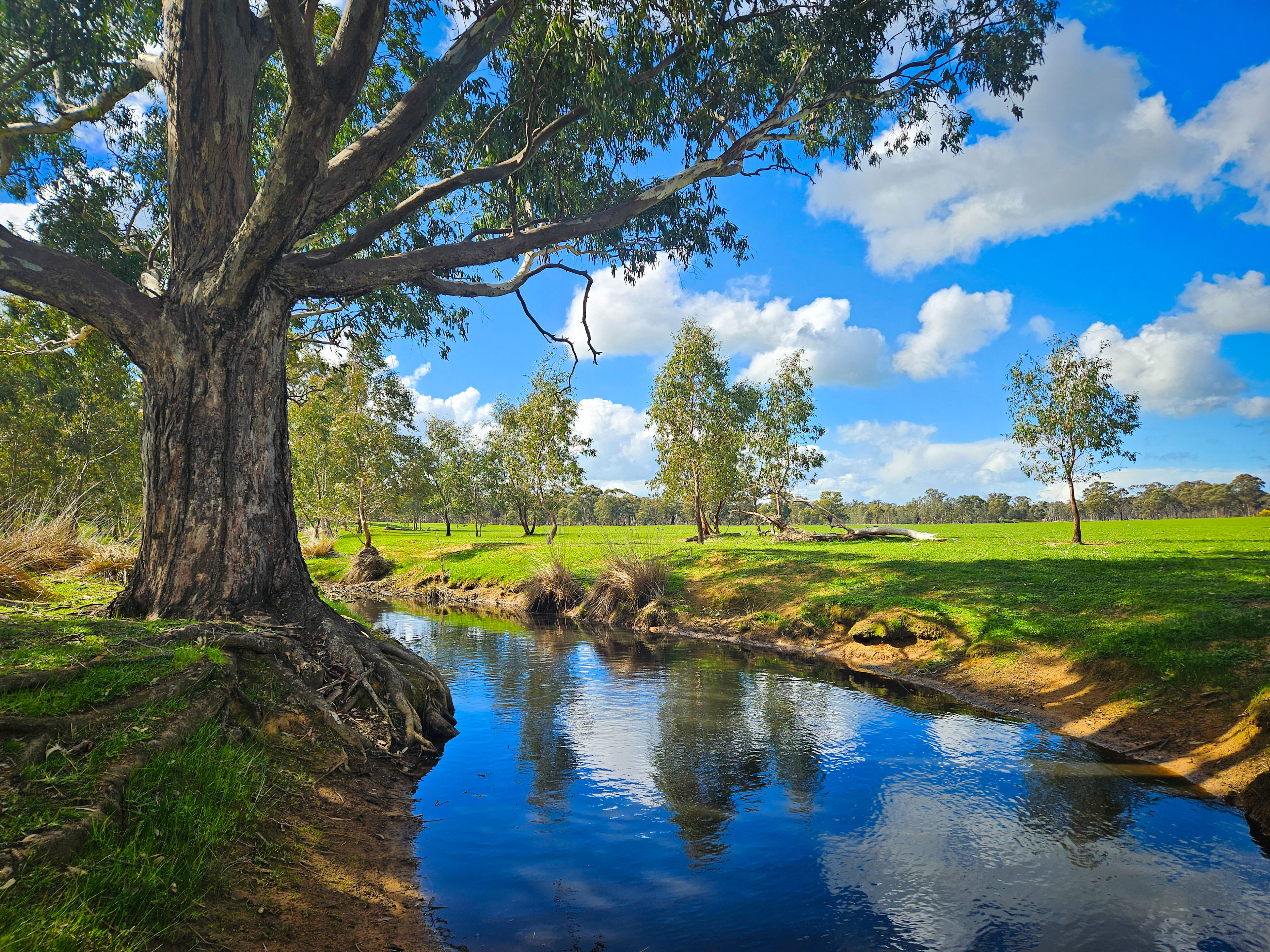 Somerville Park   (Bendigo)