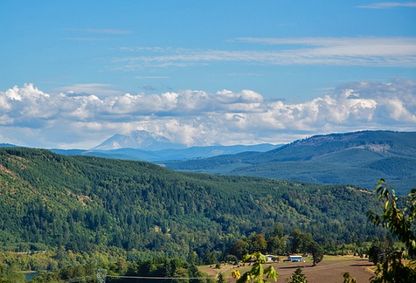 Thousand Trails Paradise RV Camp