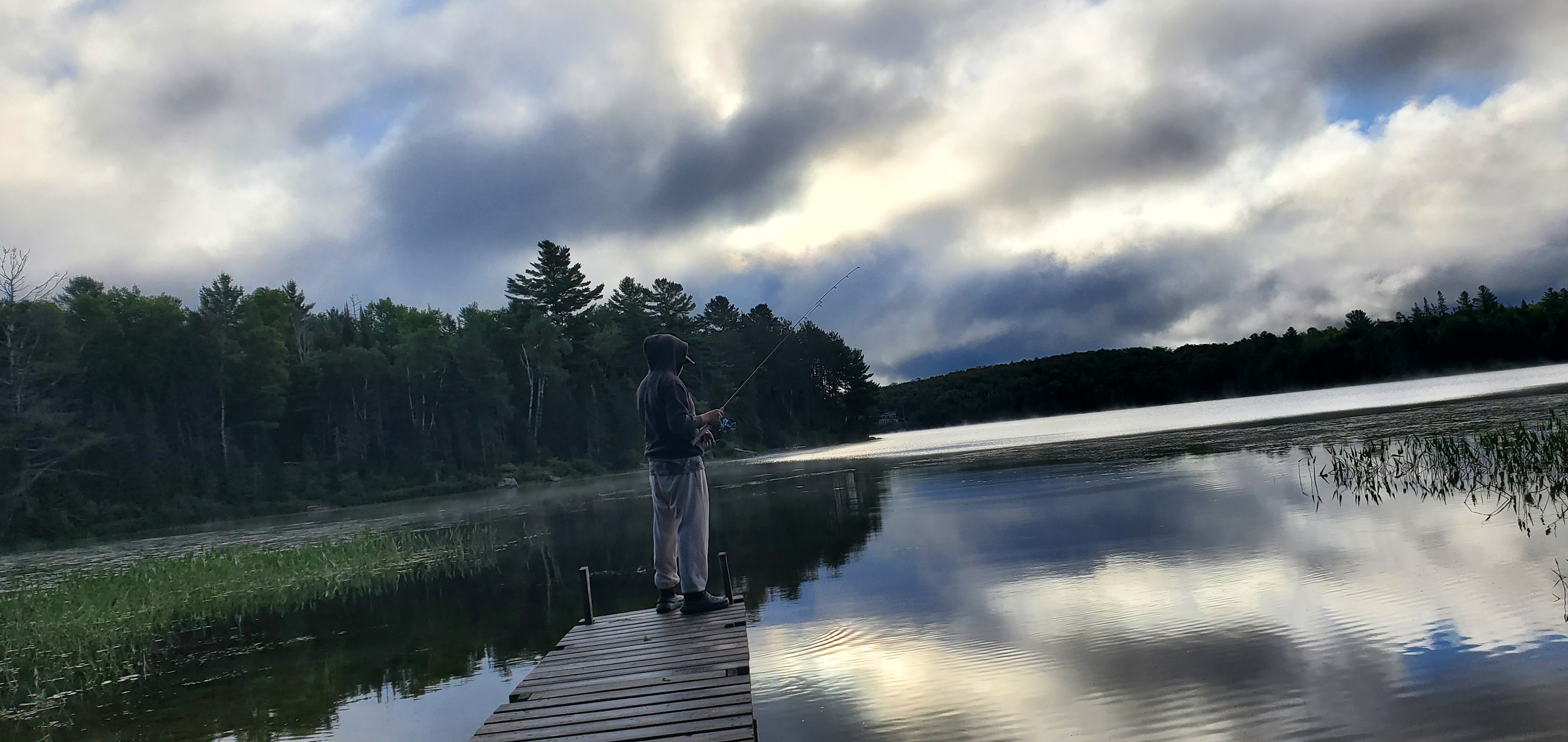 Off -Grid Forest Retreat