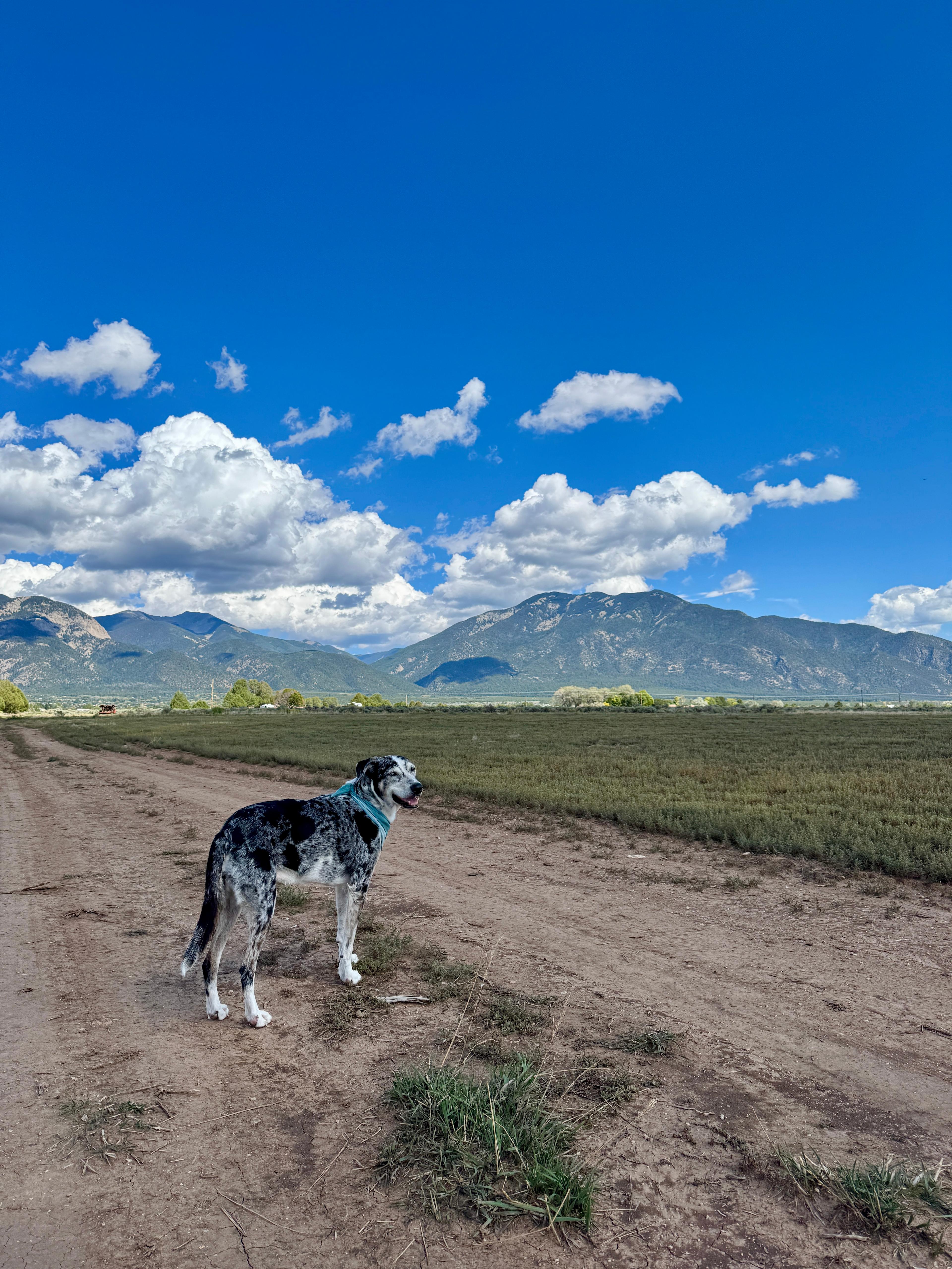 Dragonfly Mountain Ranch