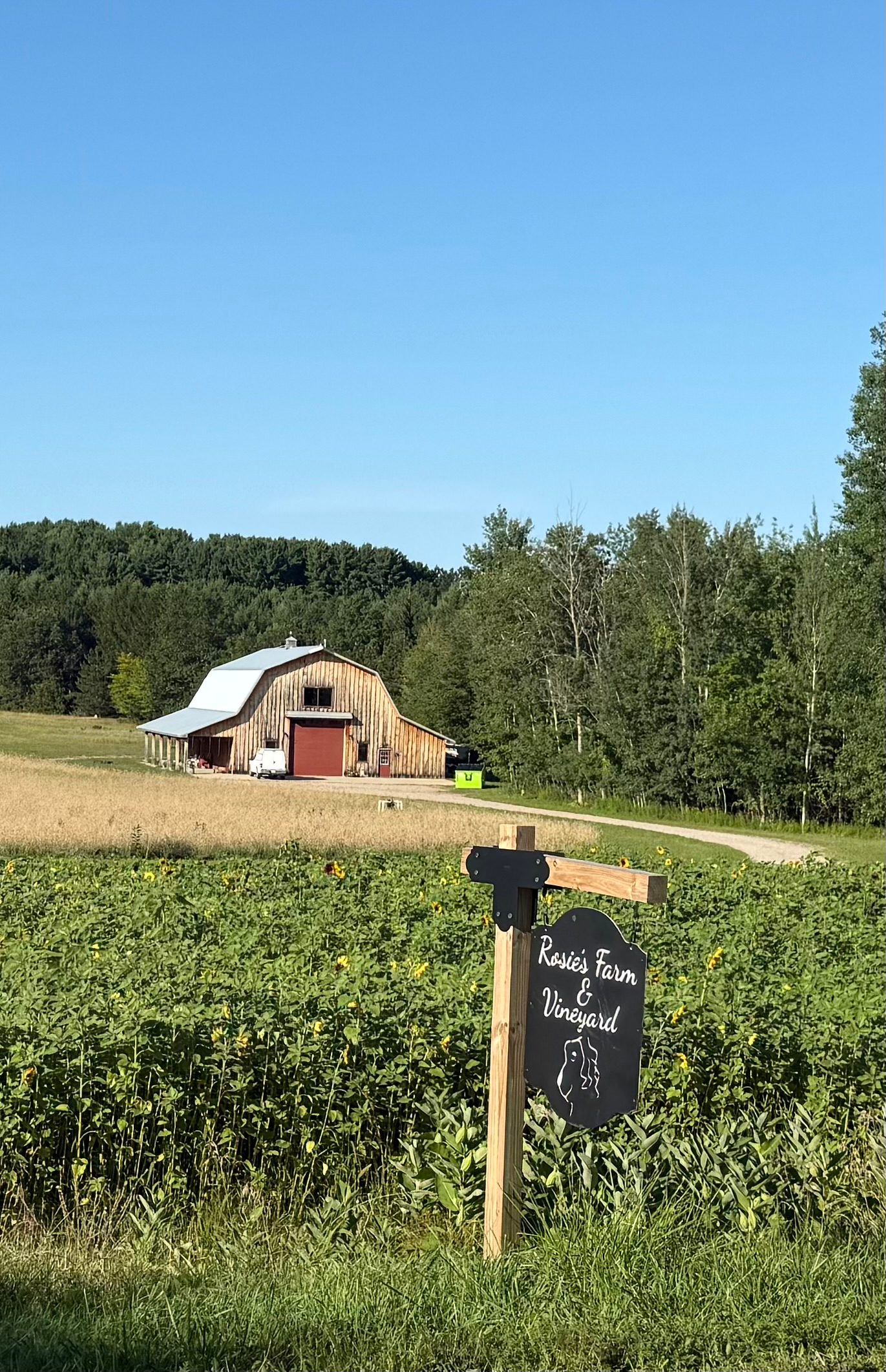 Rosie's Farm