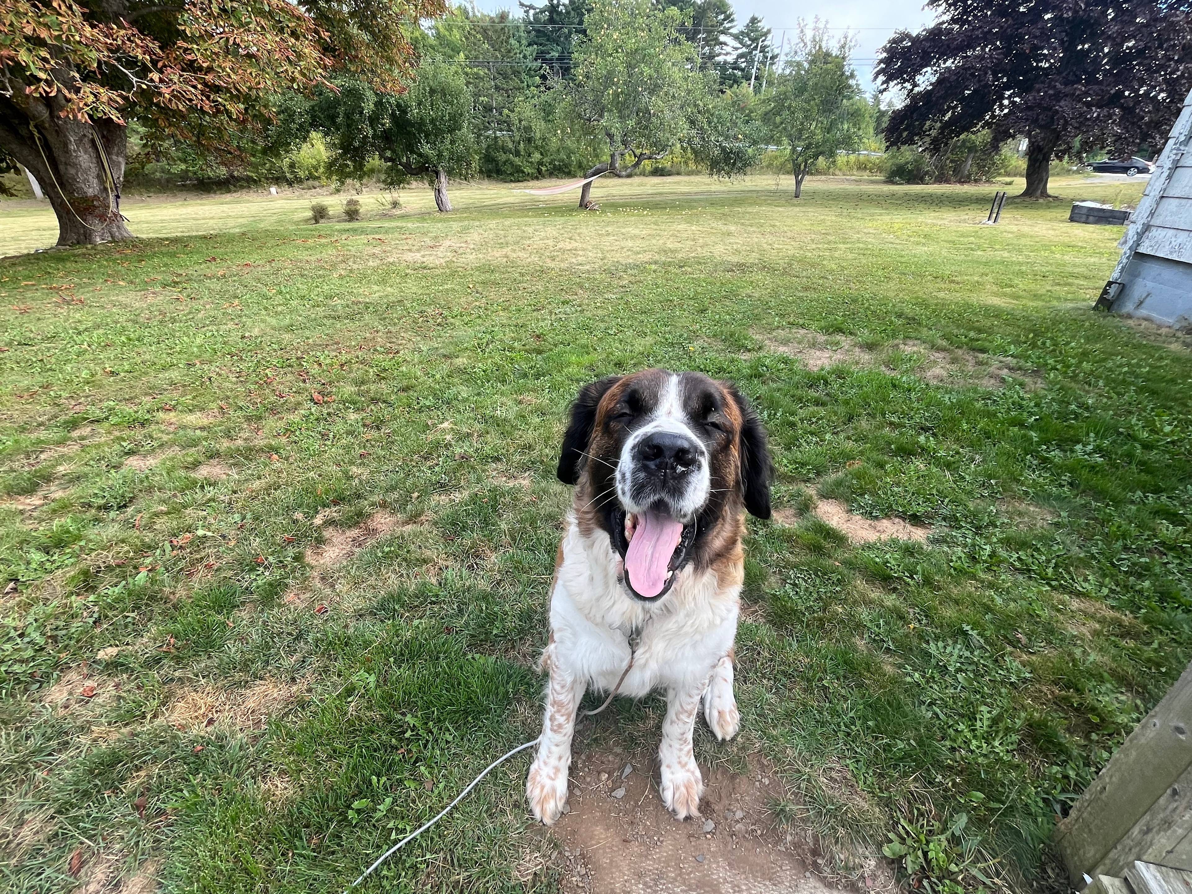 Boondockers Lunenburg