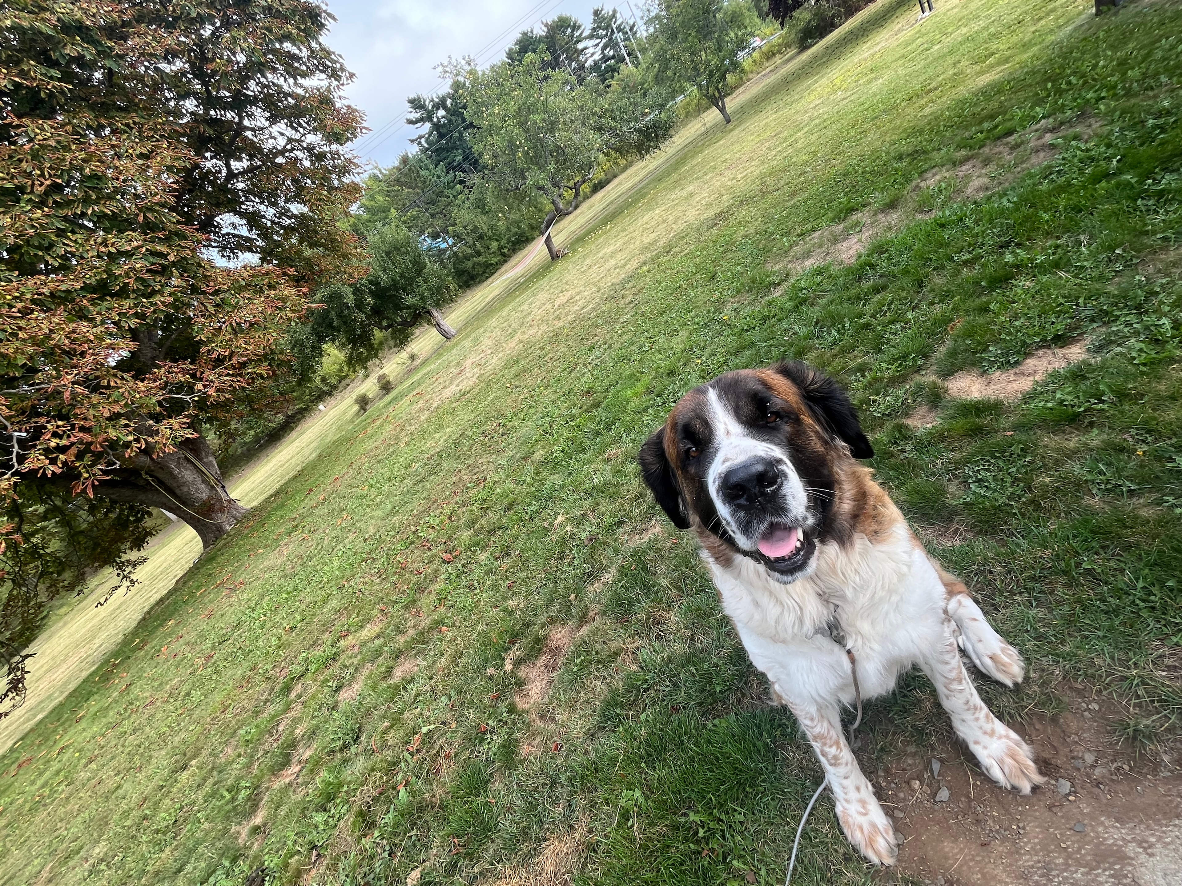 Boondockers Lunenburg