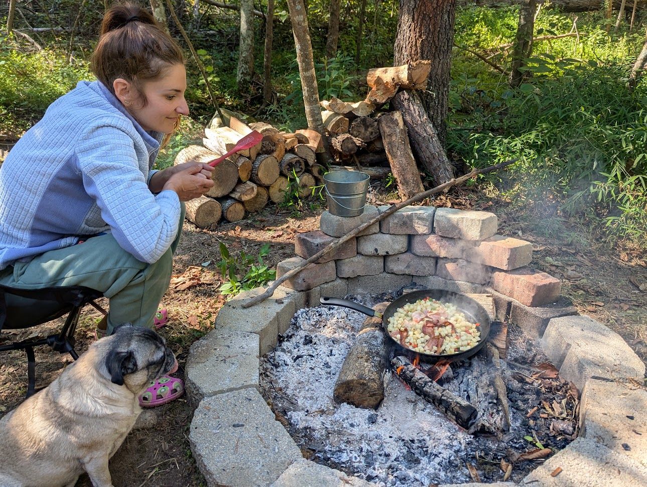 Nicholson’s Wonder Forest