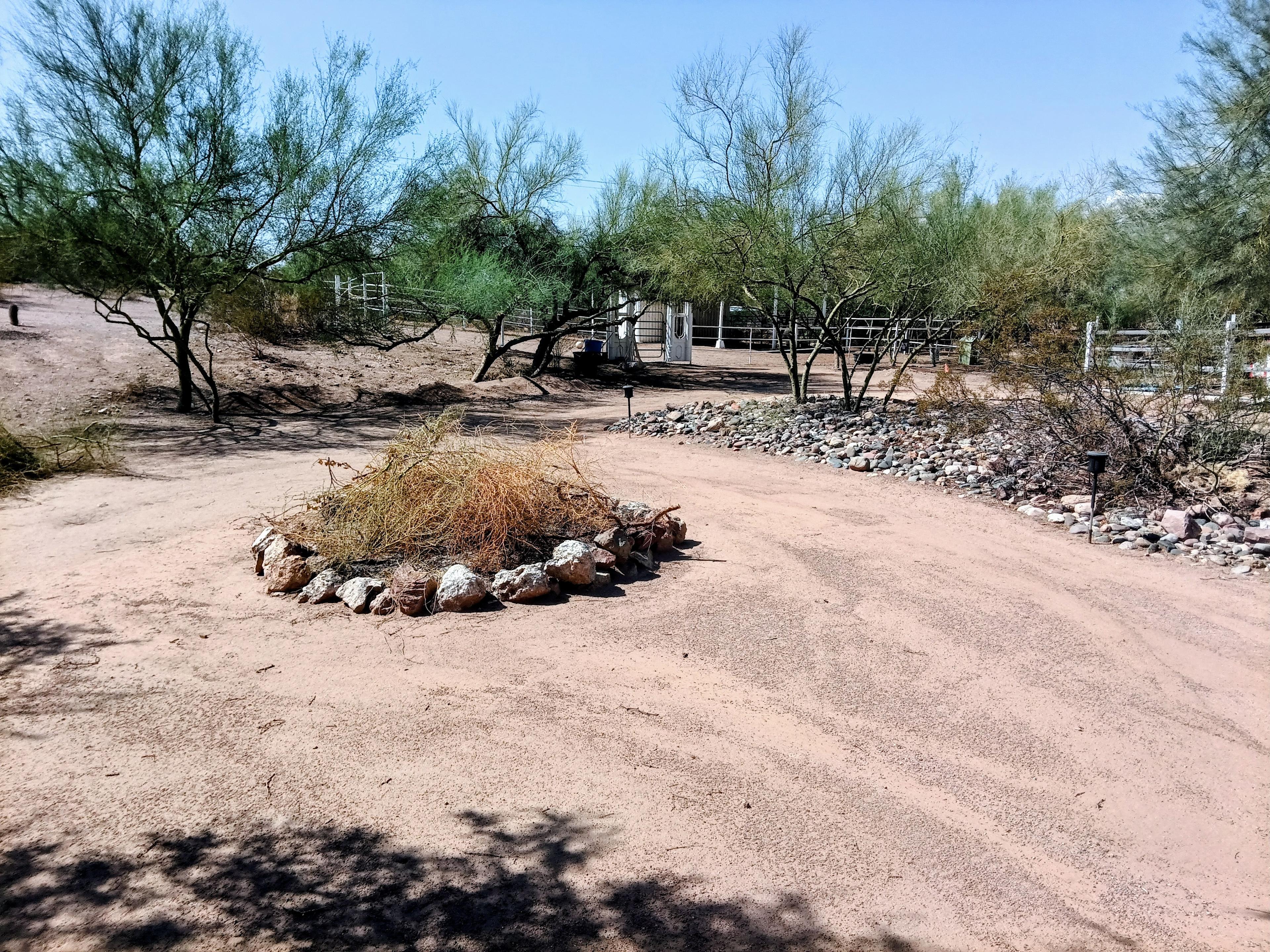 Doreens Ranch And Hobby Farm