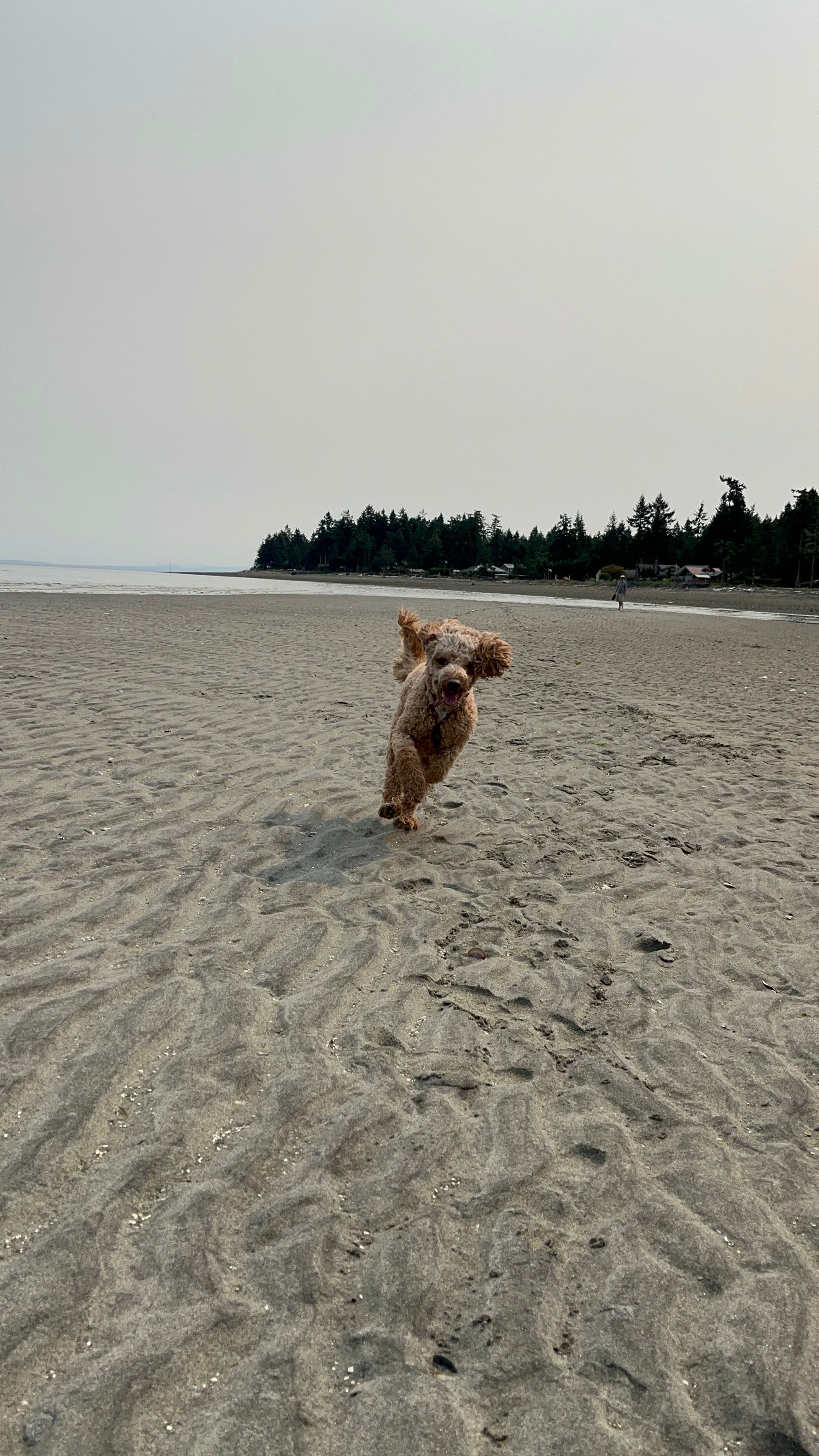 Miracle Beach just minutes down the road from Whimsical Red Barn
