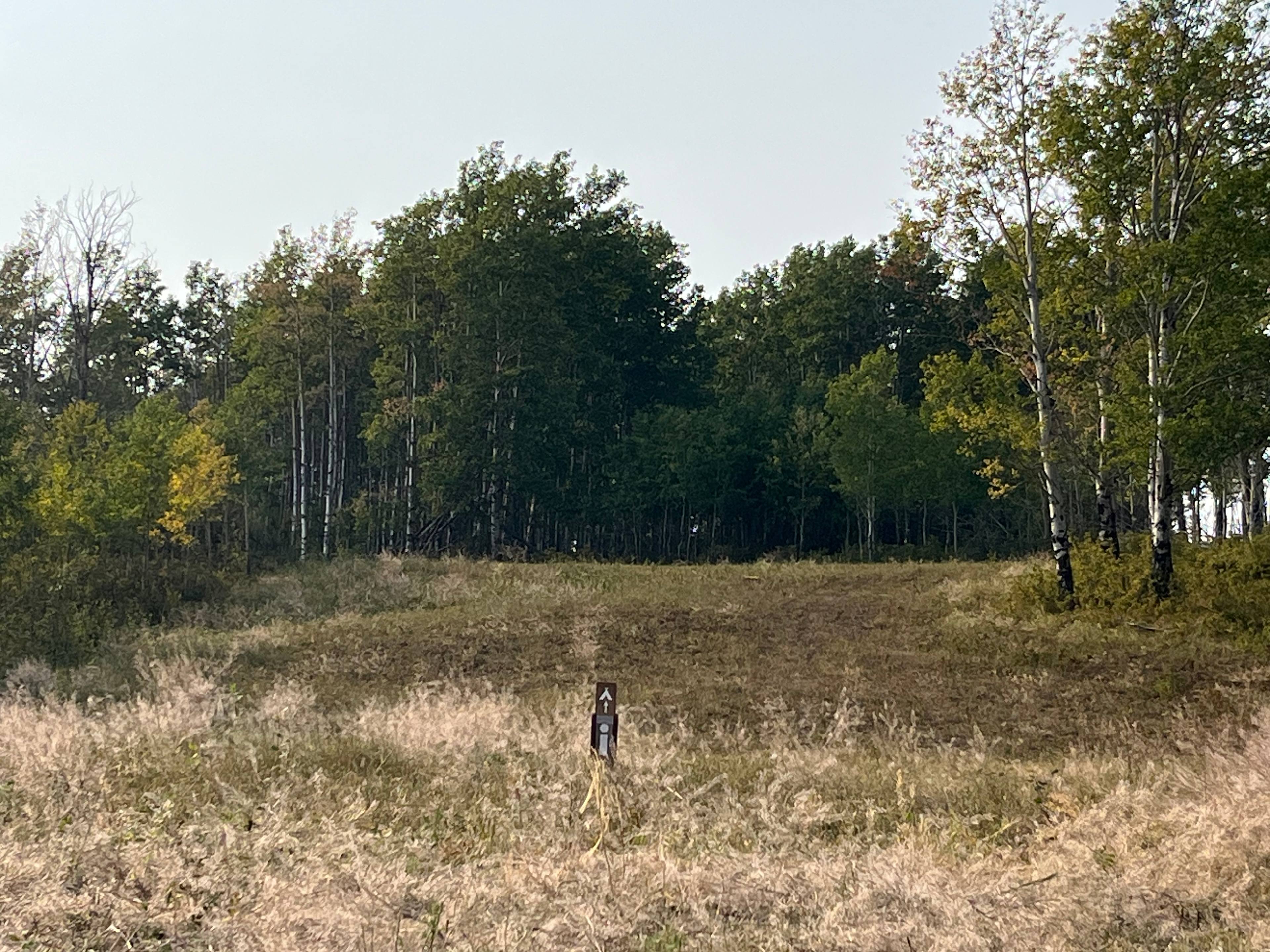Some kind of pond in the background