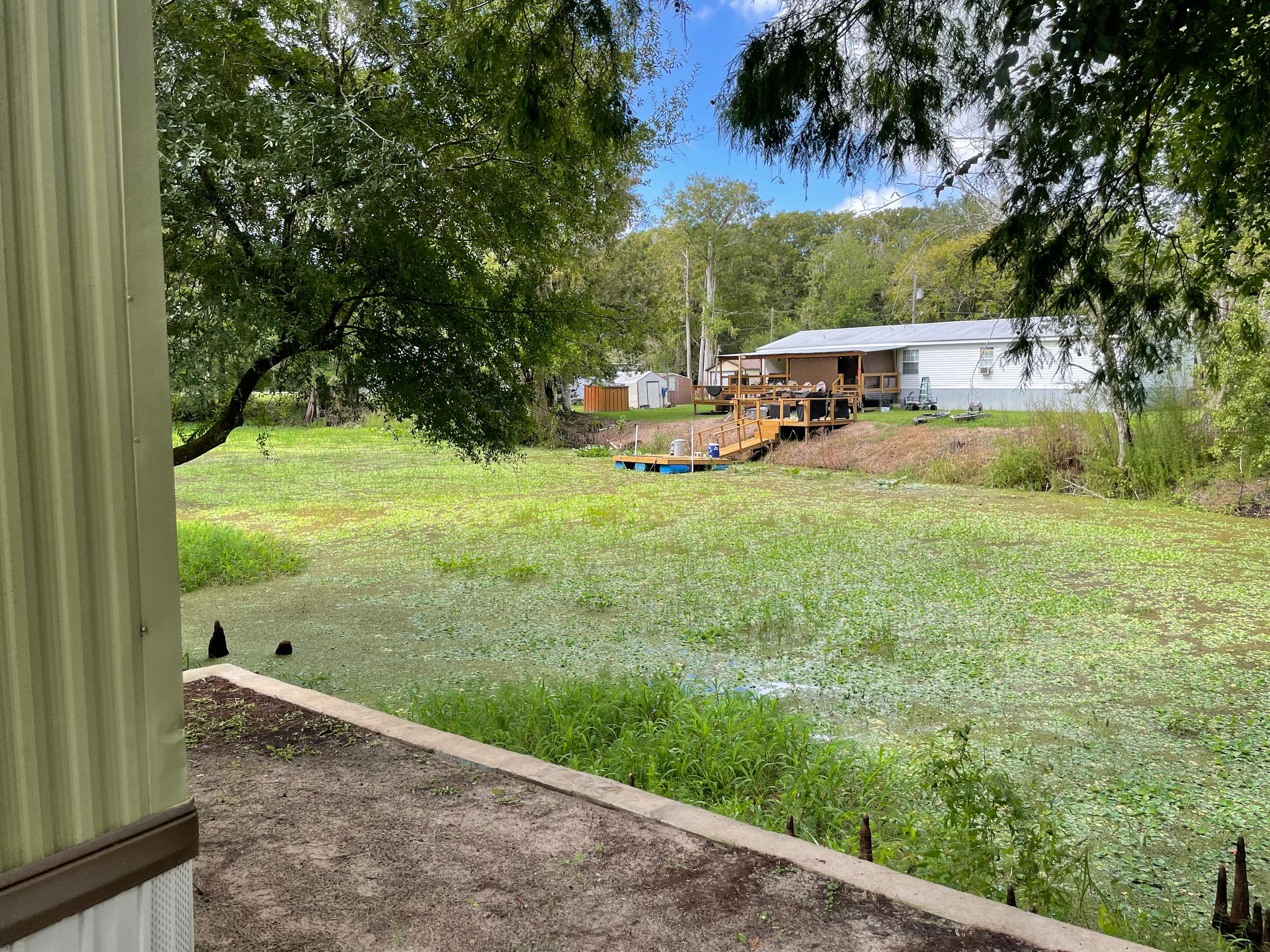 River Front, Fish, Access To River.