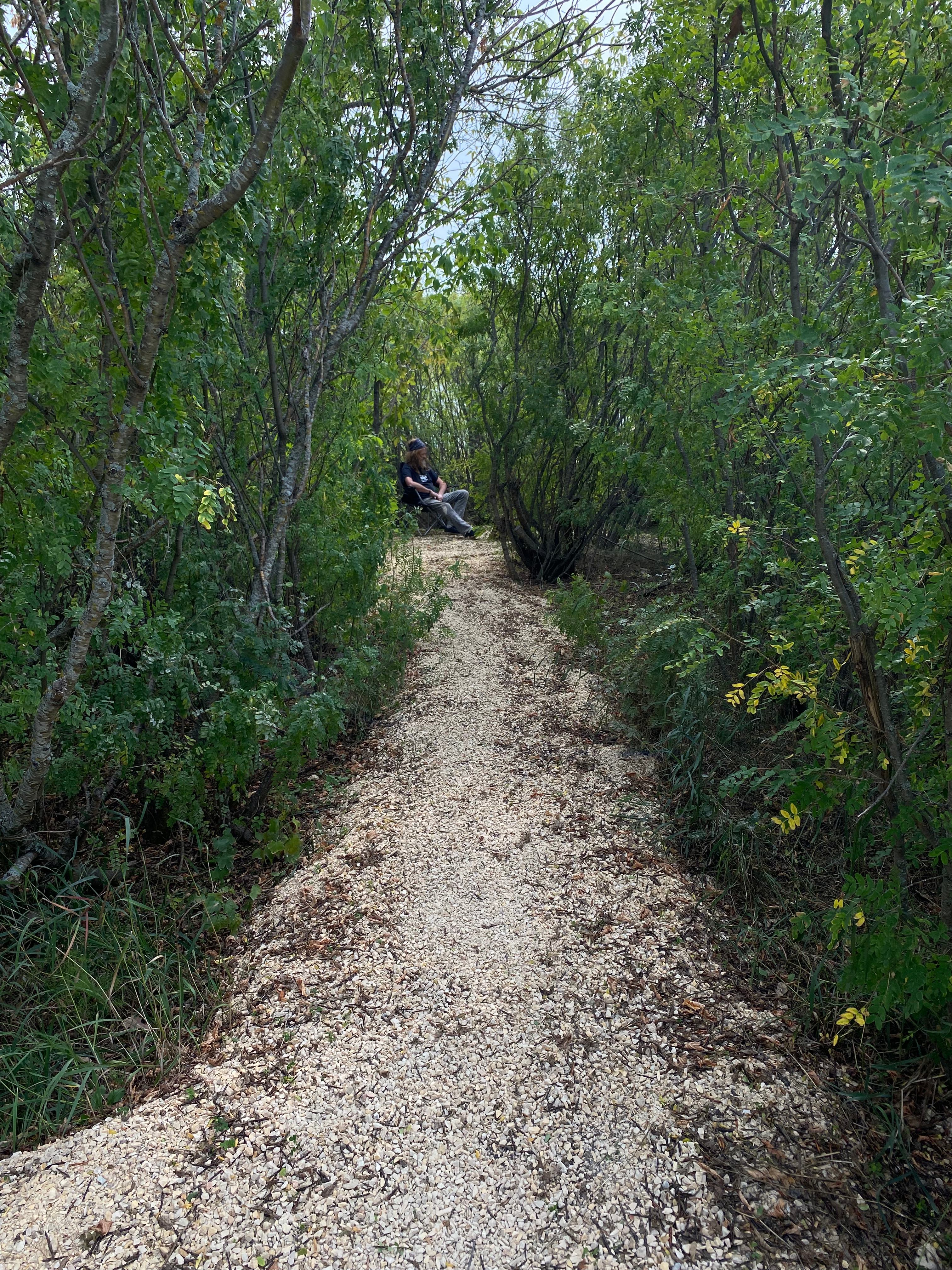 Highway 6 Pete's Stop