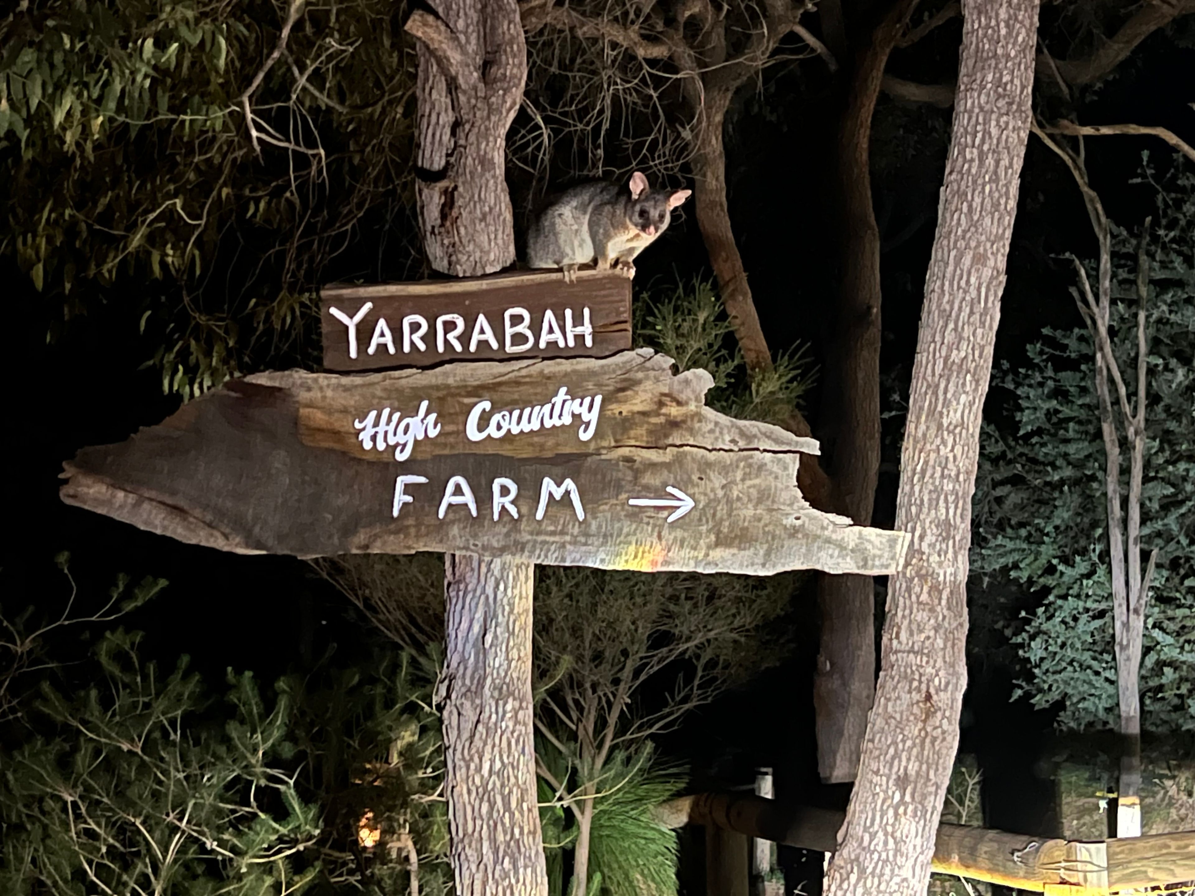 Yarrabah High Country- Jarrahdale