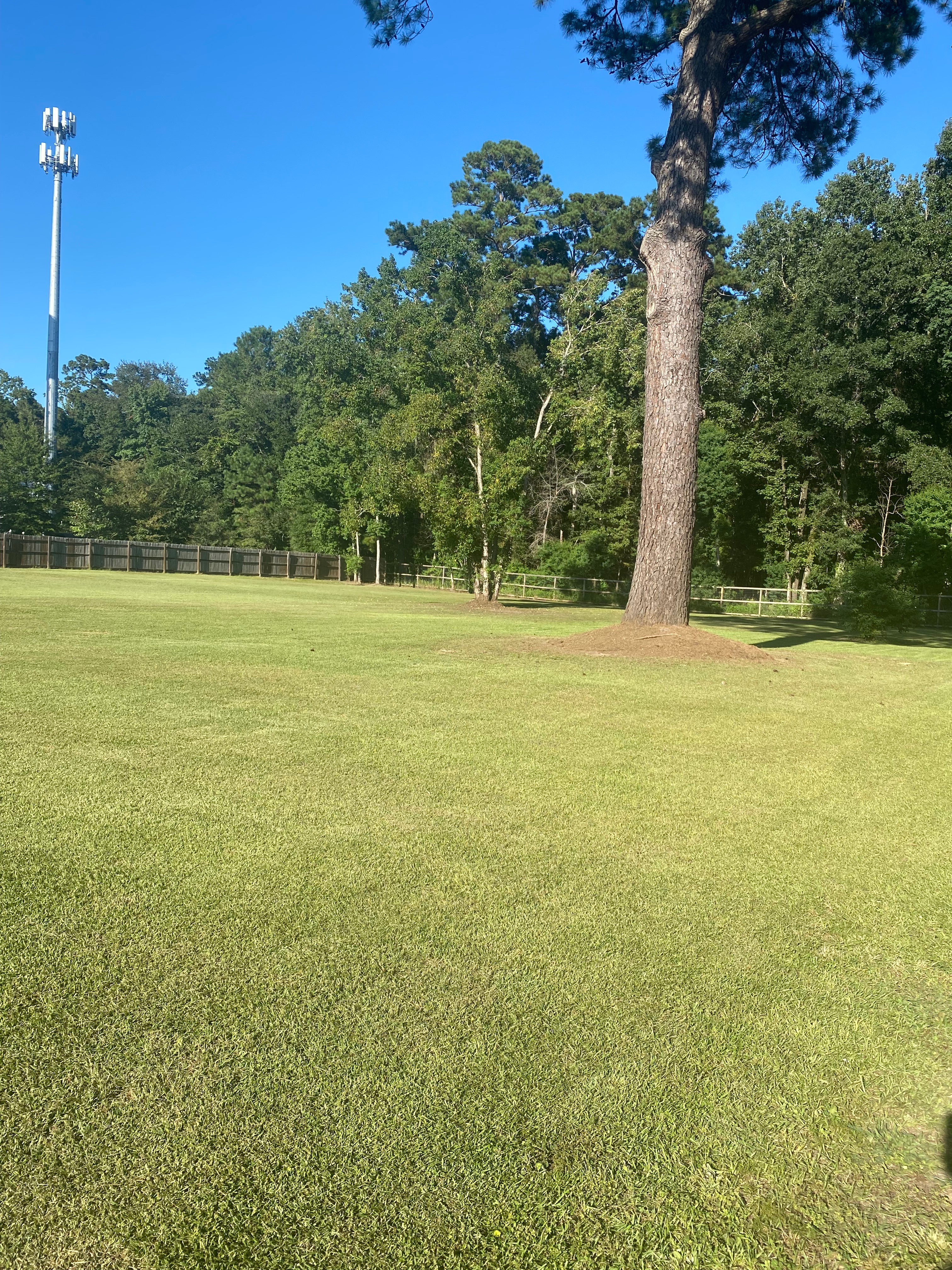 Summerville RV Site