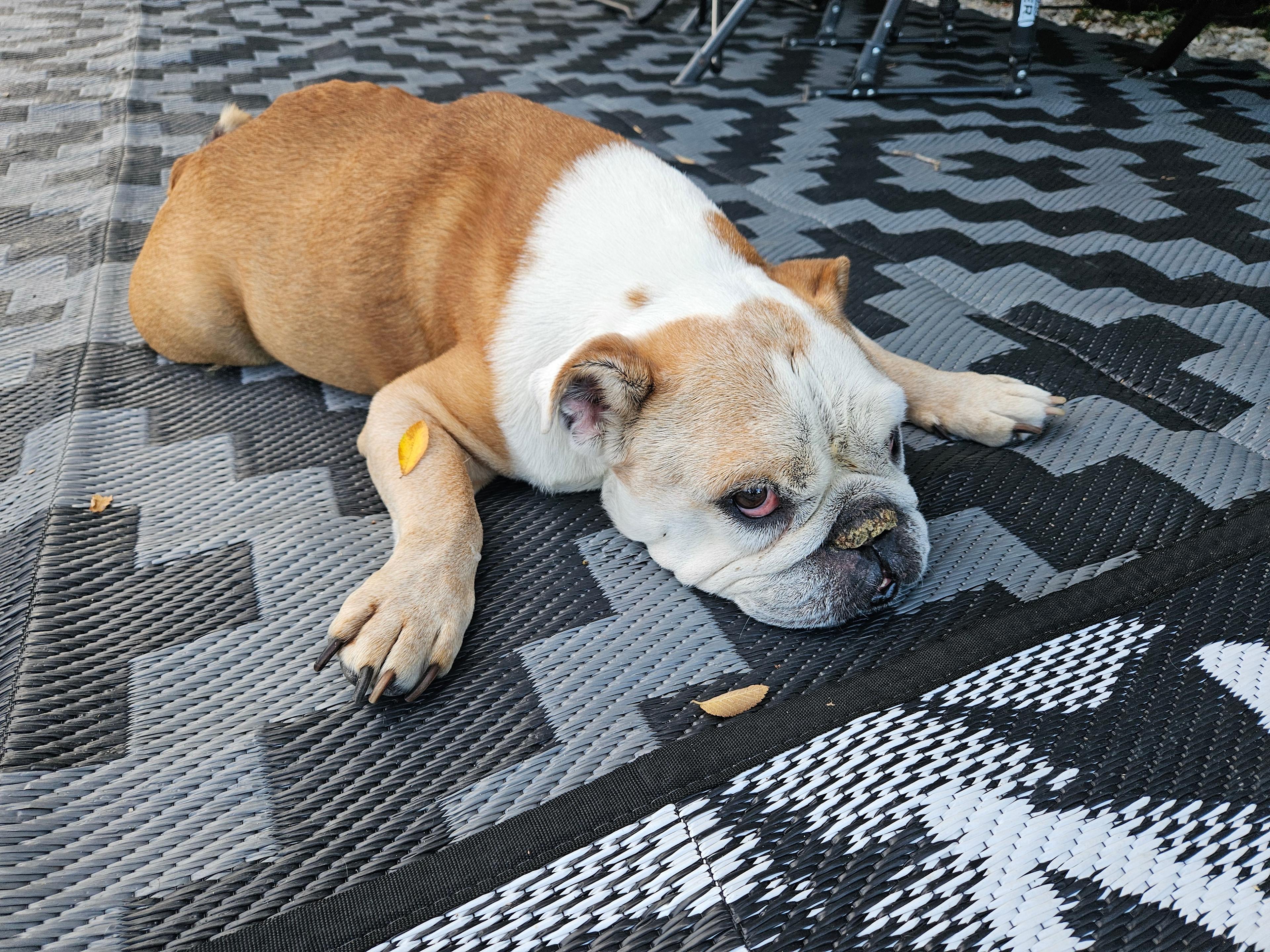 Maggie said it was a great place to relax.