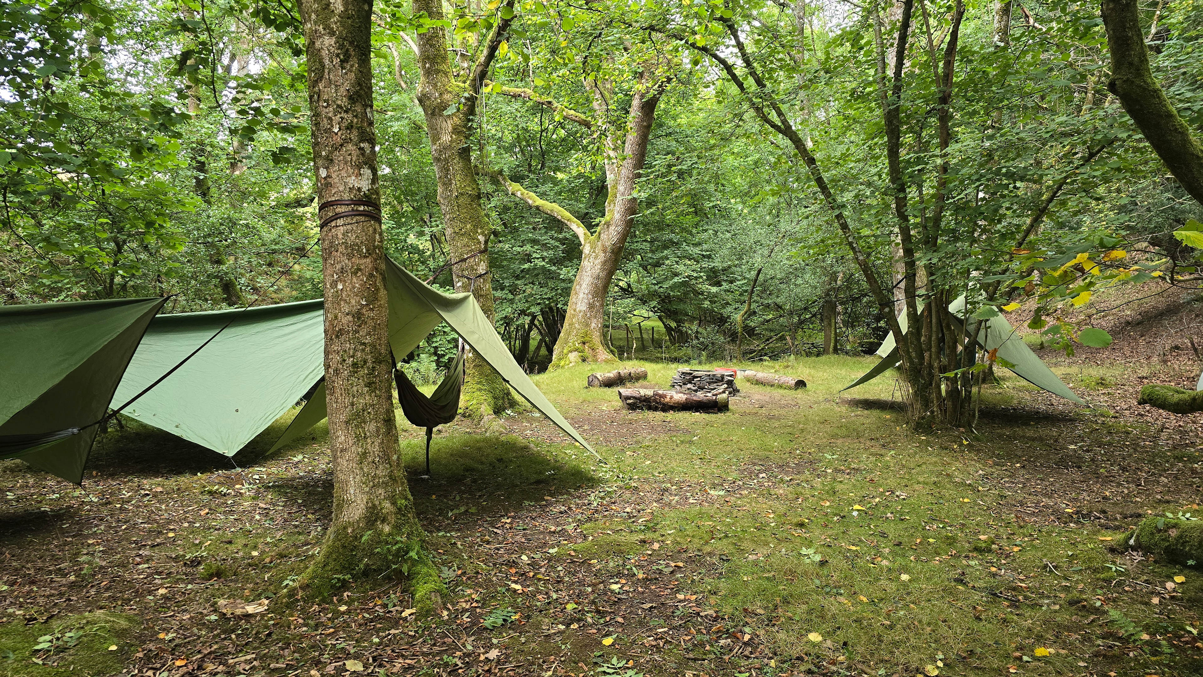 Wild Hammock Camping