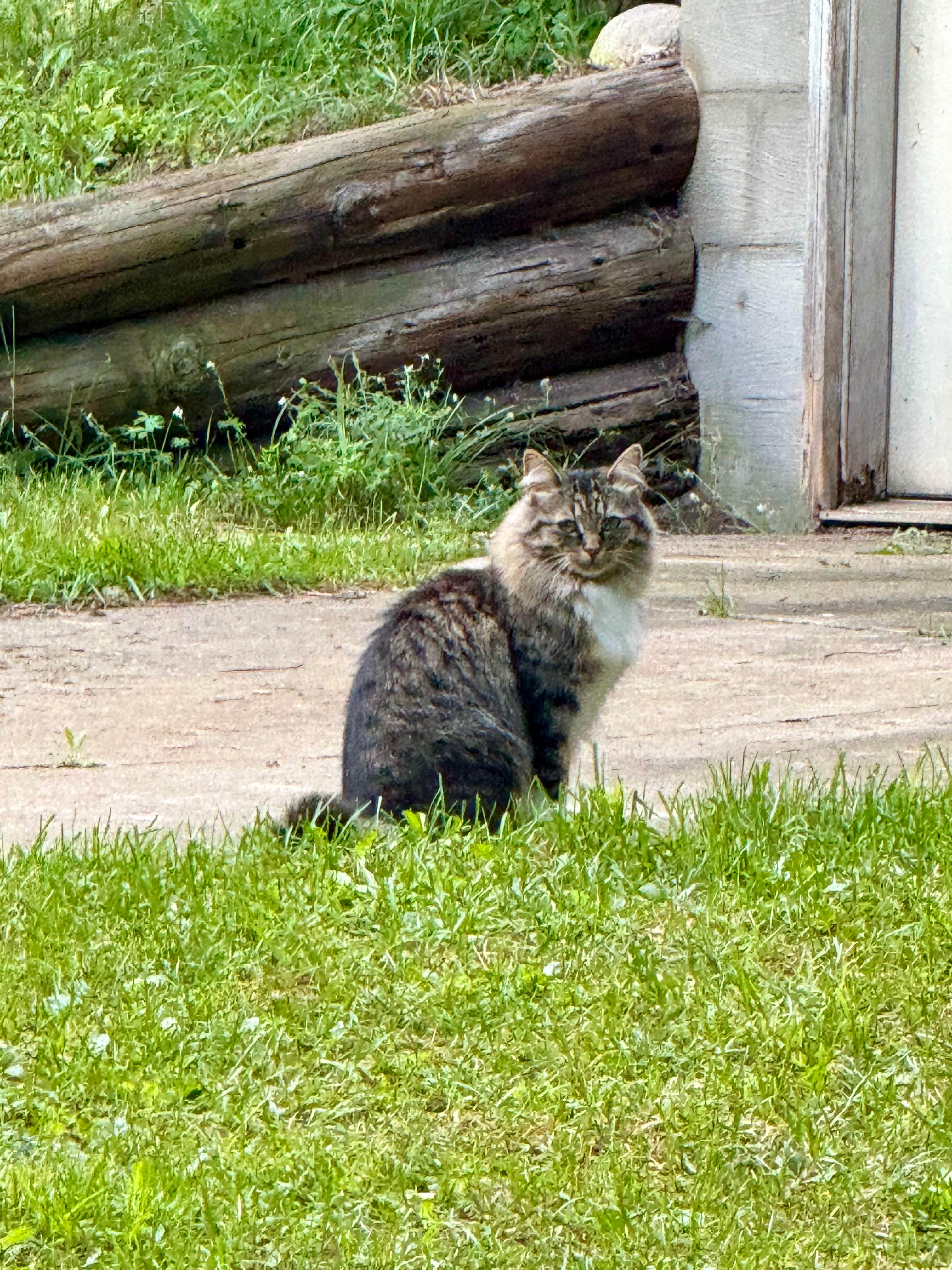 Motorcycle Tent Camp