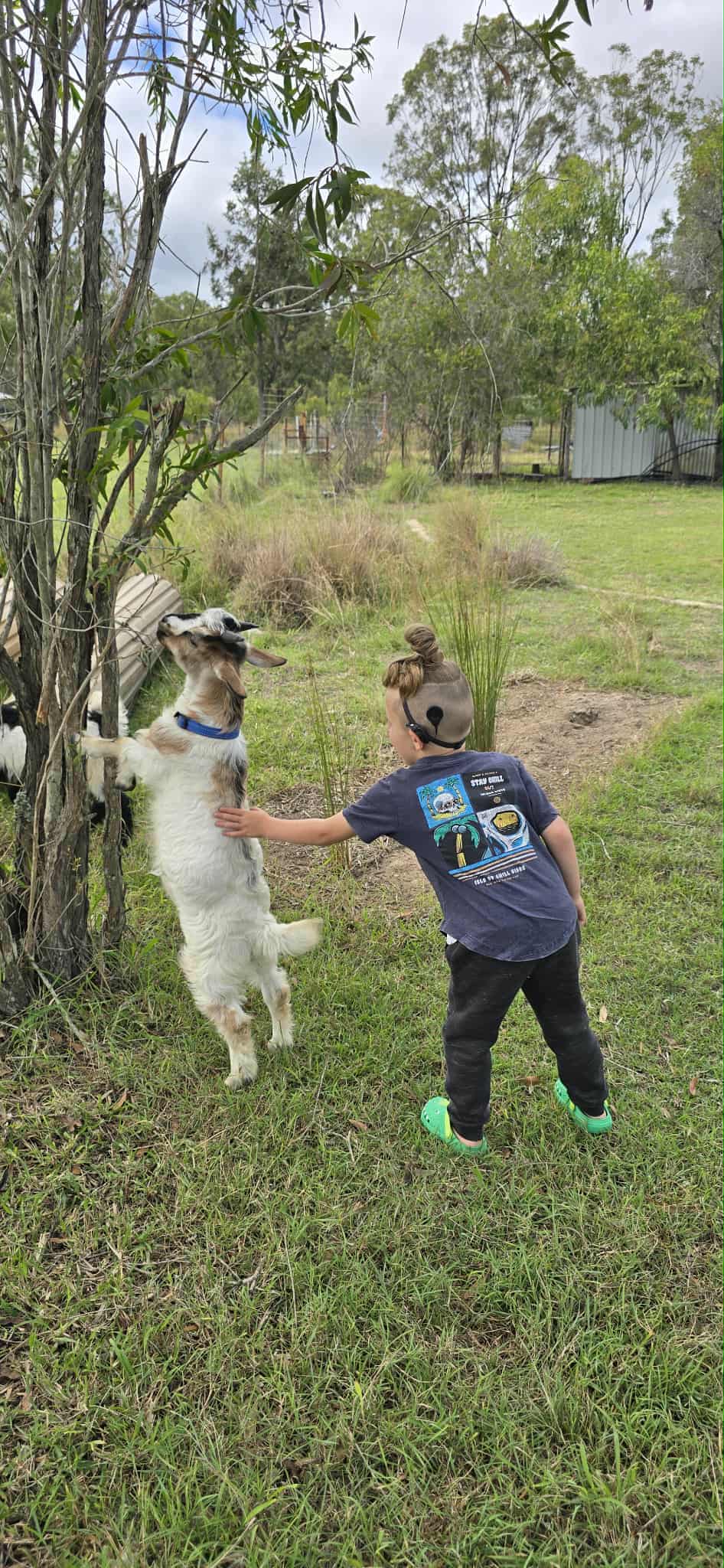 Natures Nook Farmstay