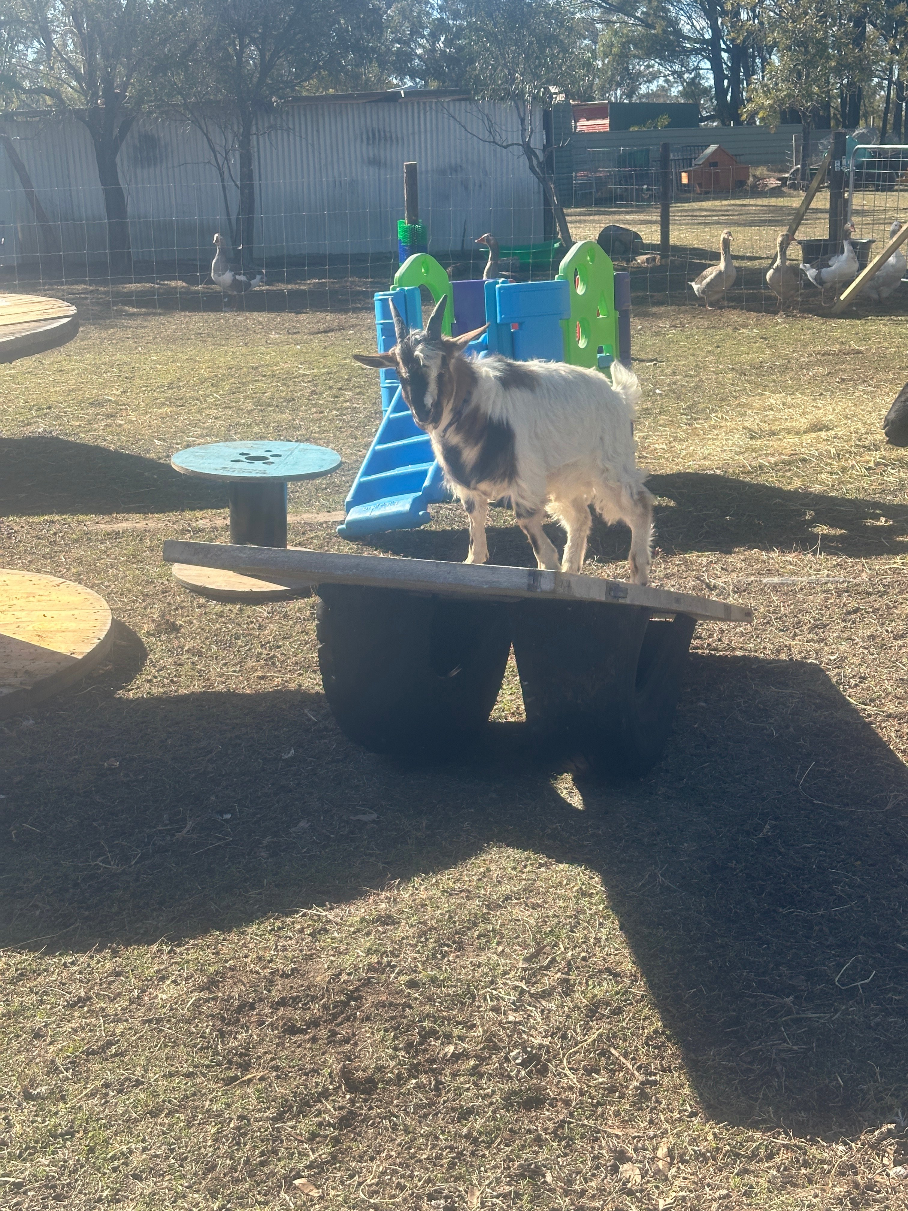 Natures Nook Farmstay