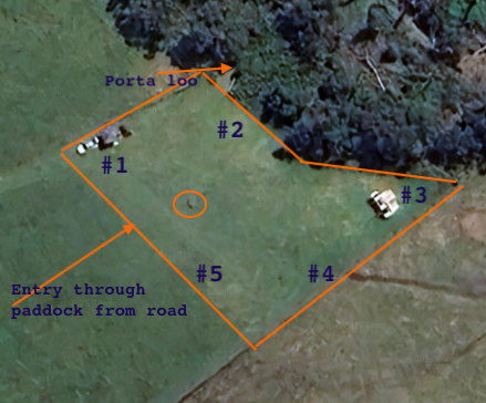 Waratah Camping