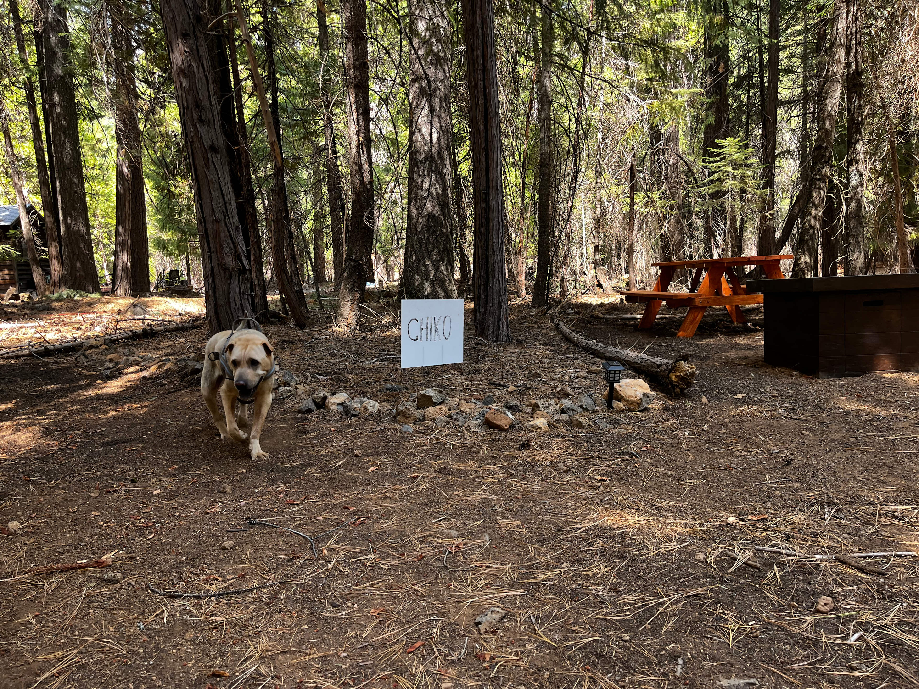 Island Warriors Retreat