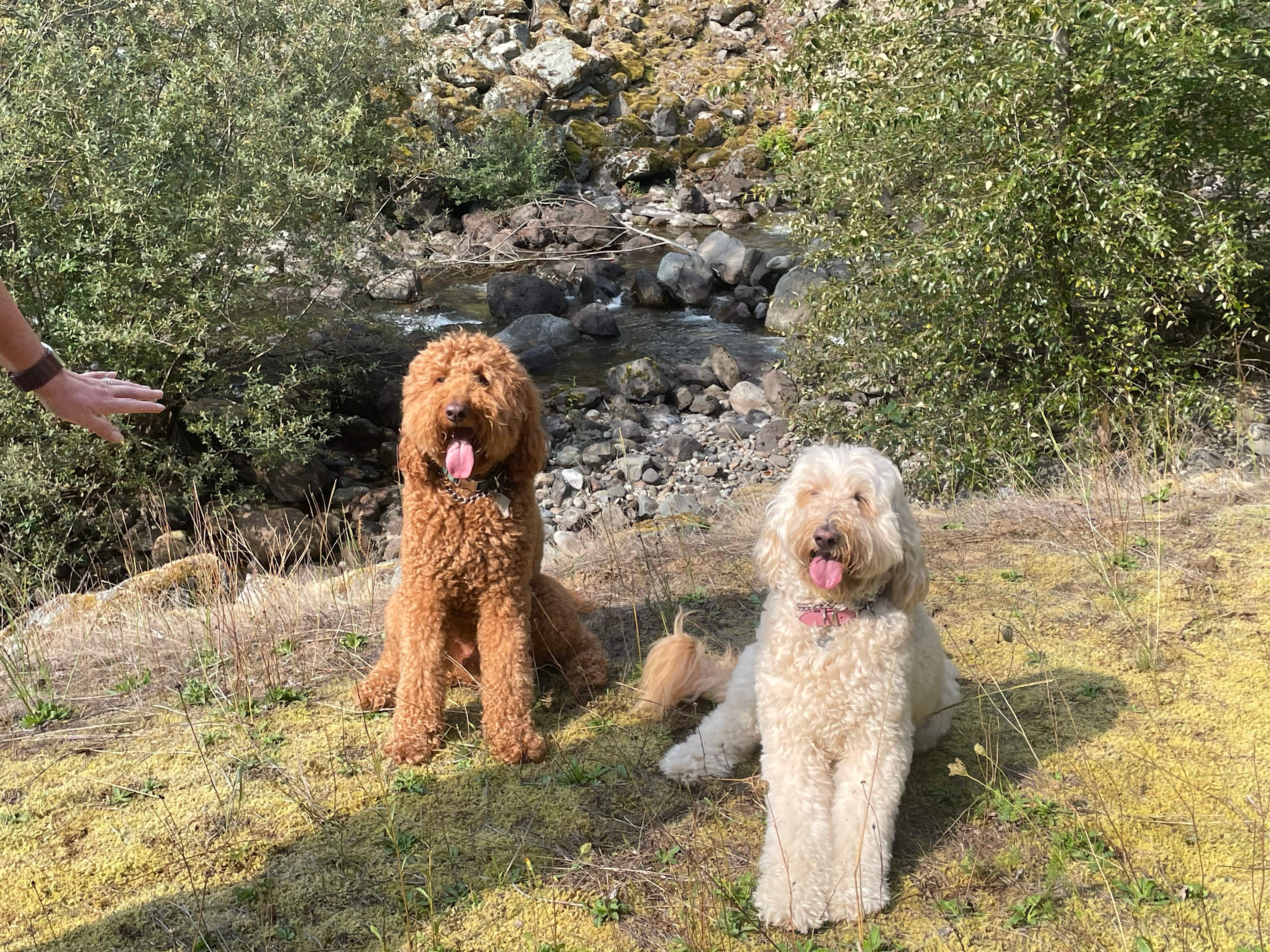 Butter Creek Retreat RV Site