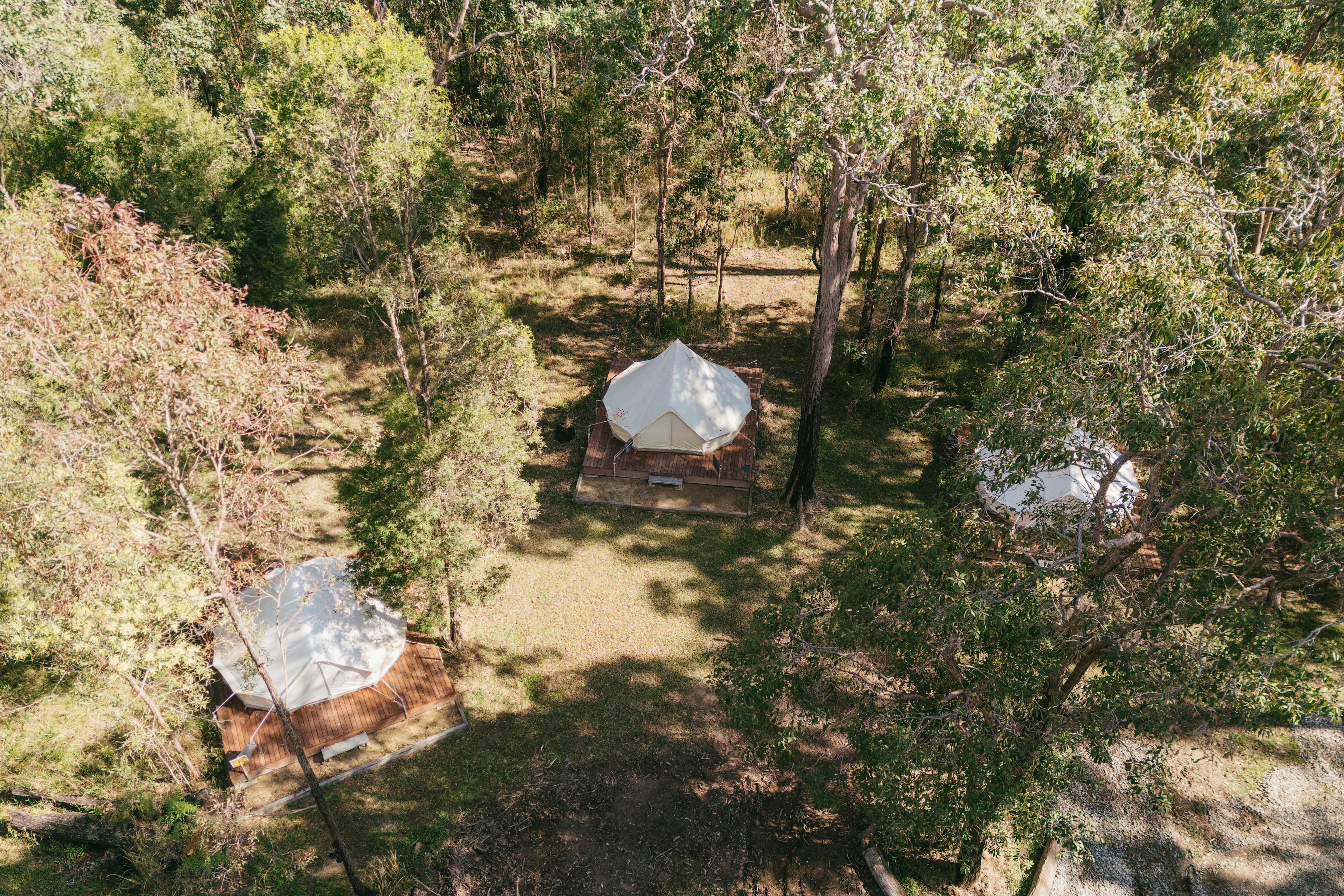 Forest Glamping Sites 2, 3 & 4