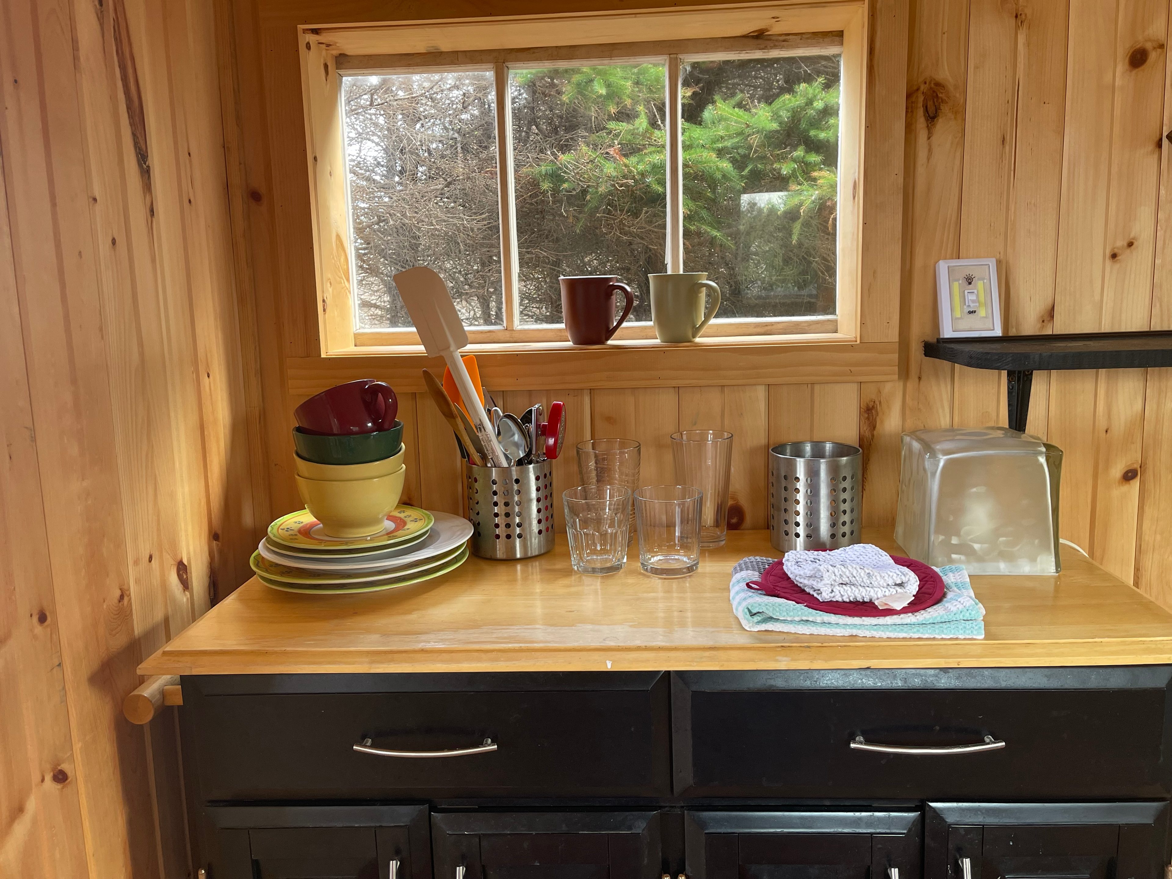 Peace and Friendship