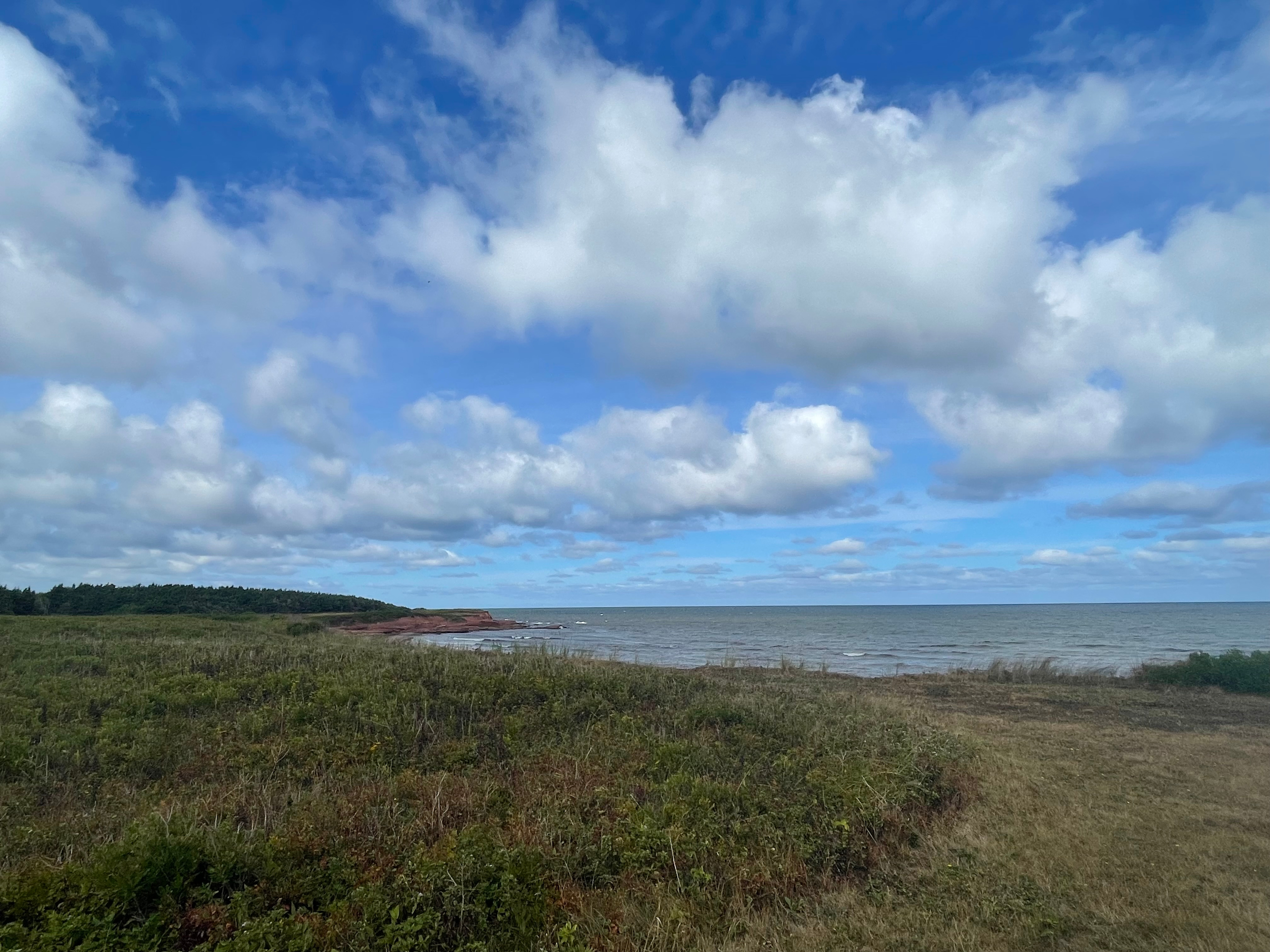 Peace and Friendship