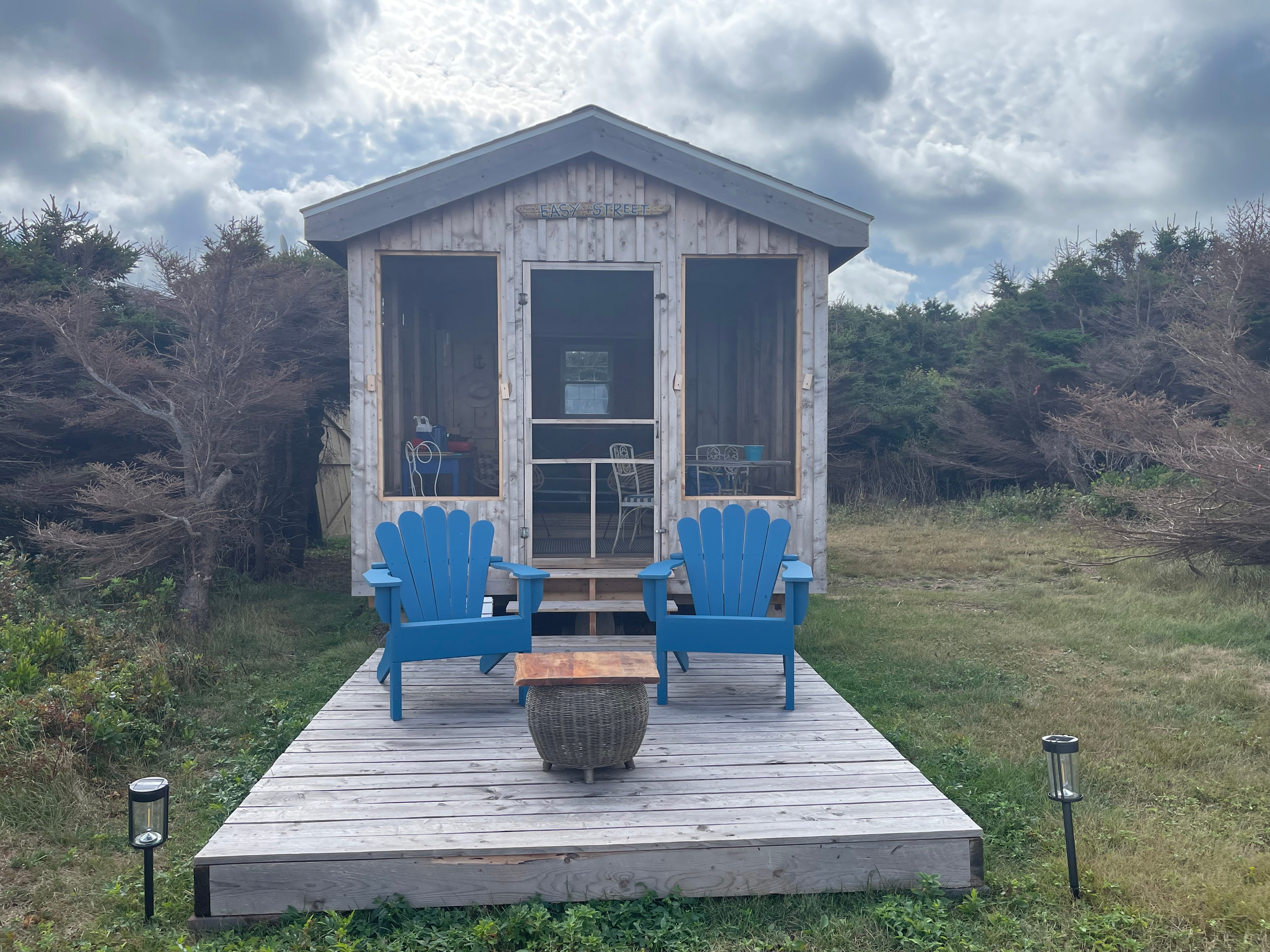 Peace and Friendship