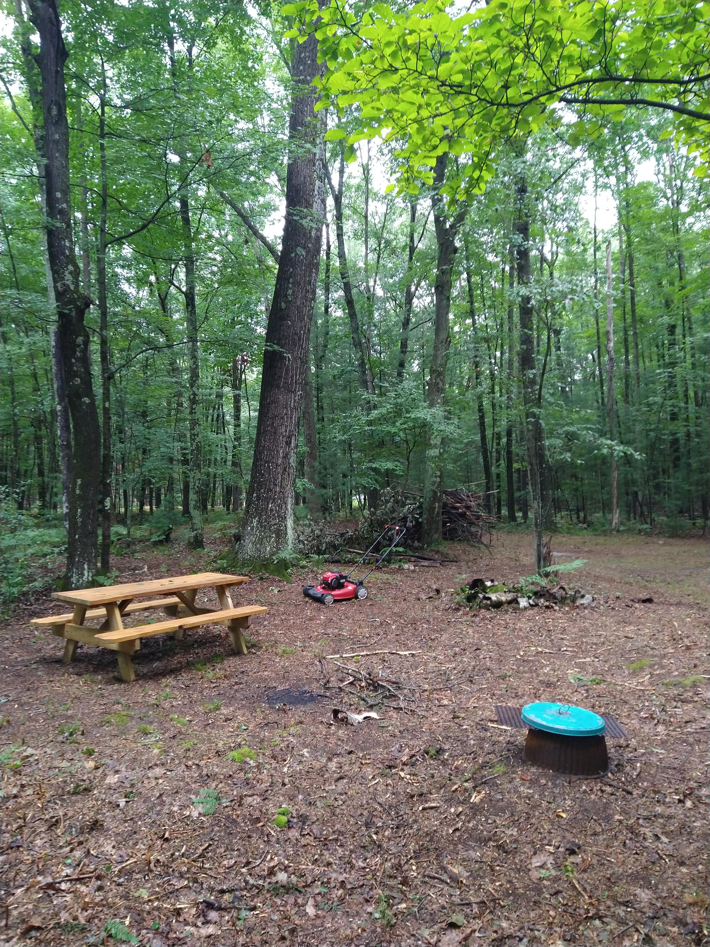 Valley of the Giants Camp