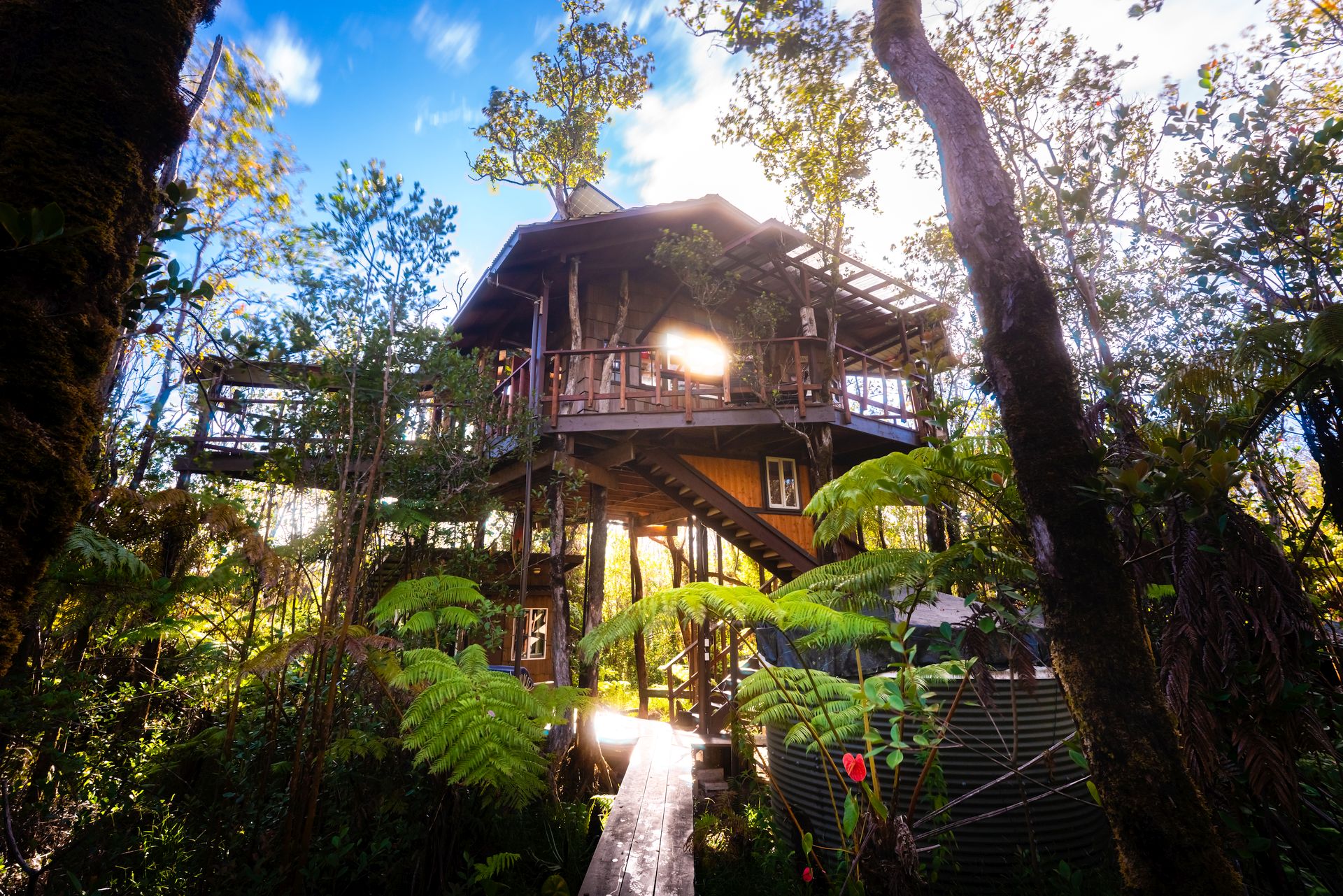 Skyes Treehouses