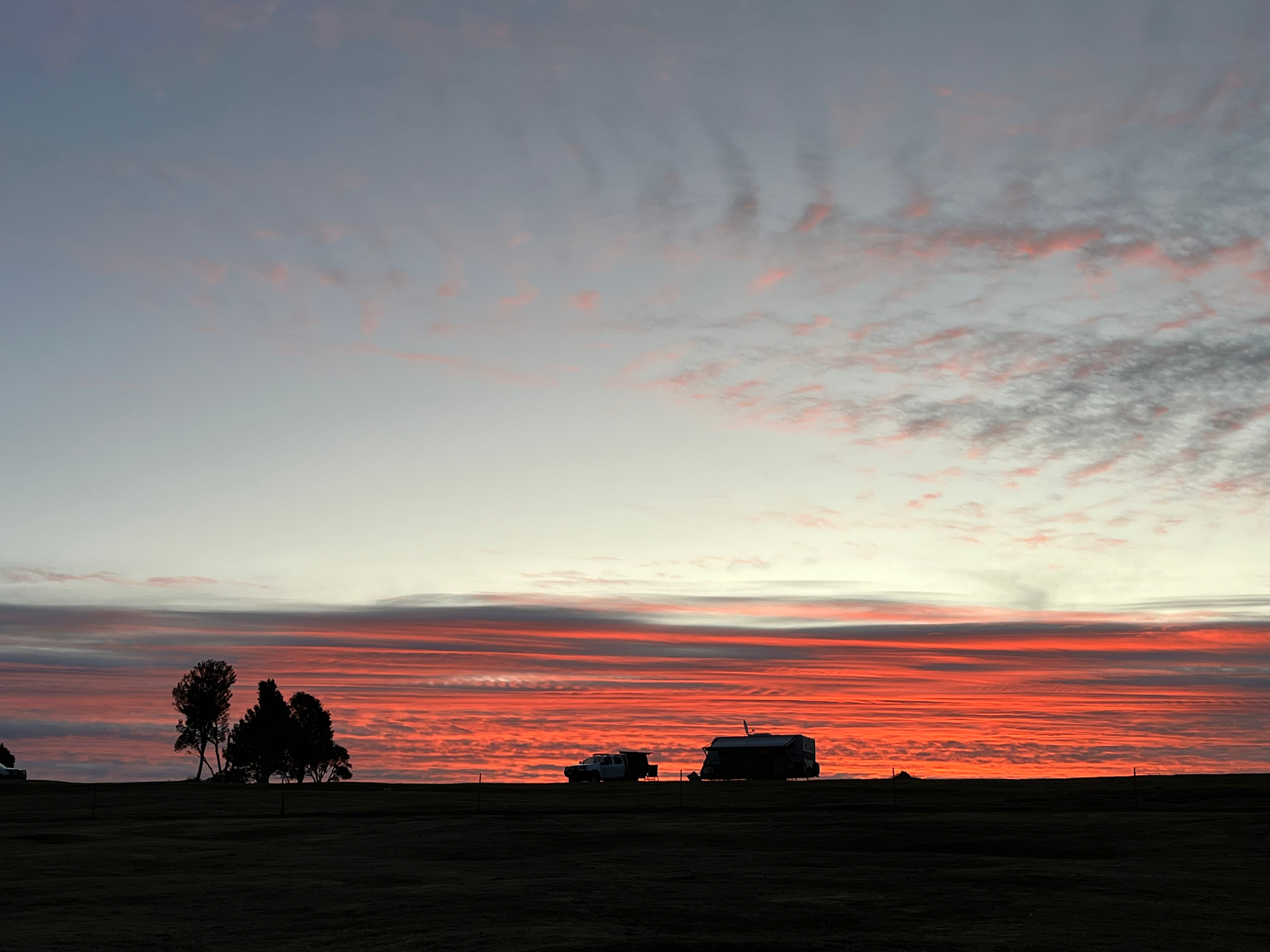Waratah Alpaca and Pepperberry Farm