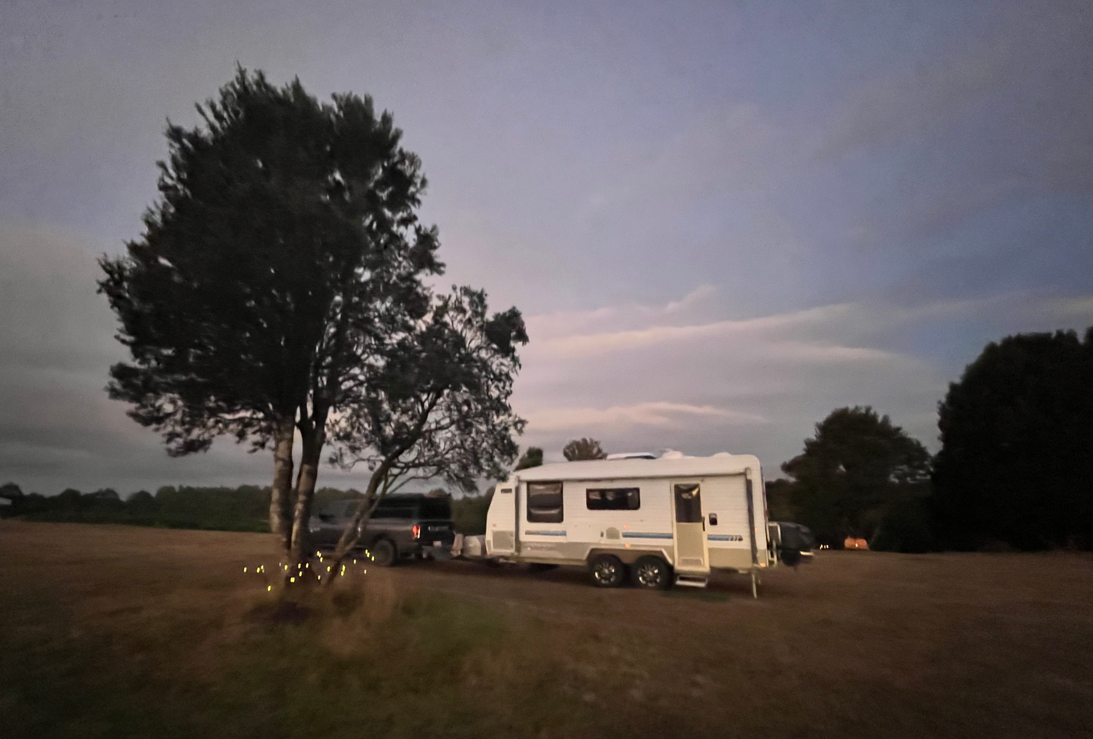 Waratah Alpaca and Pepperberry Farm