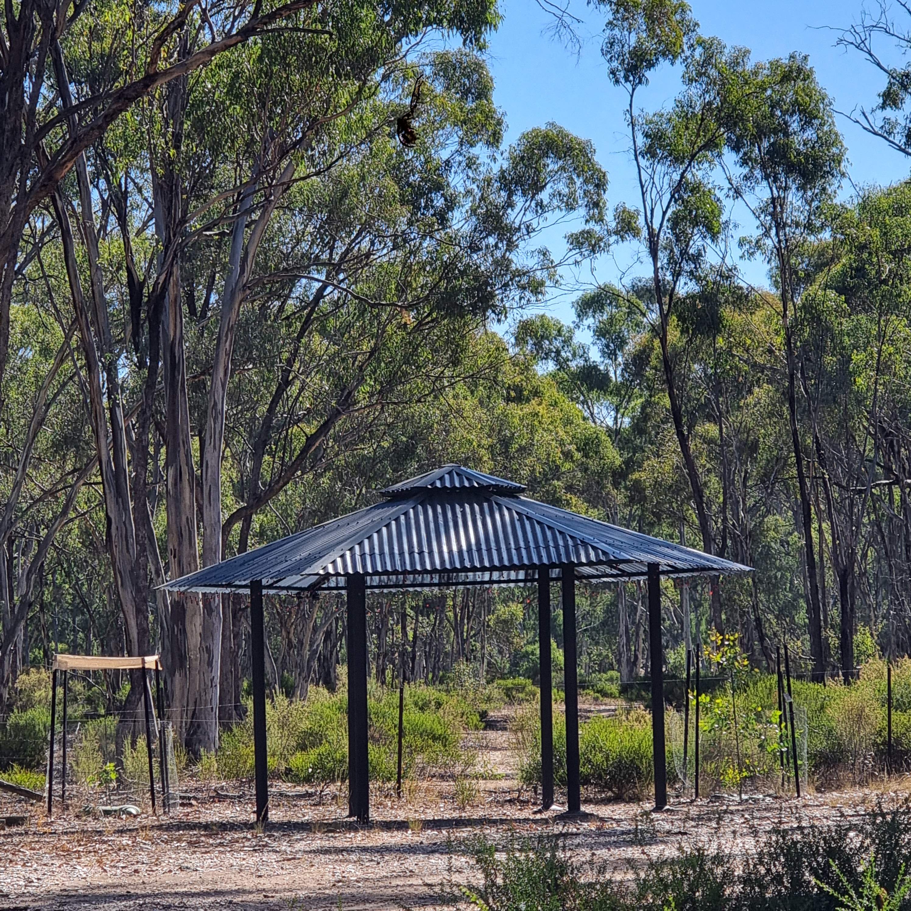 Snooks at Possum Point
