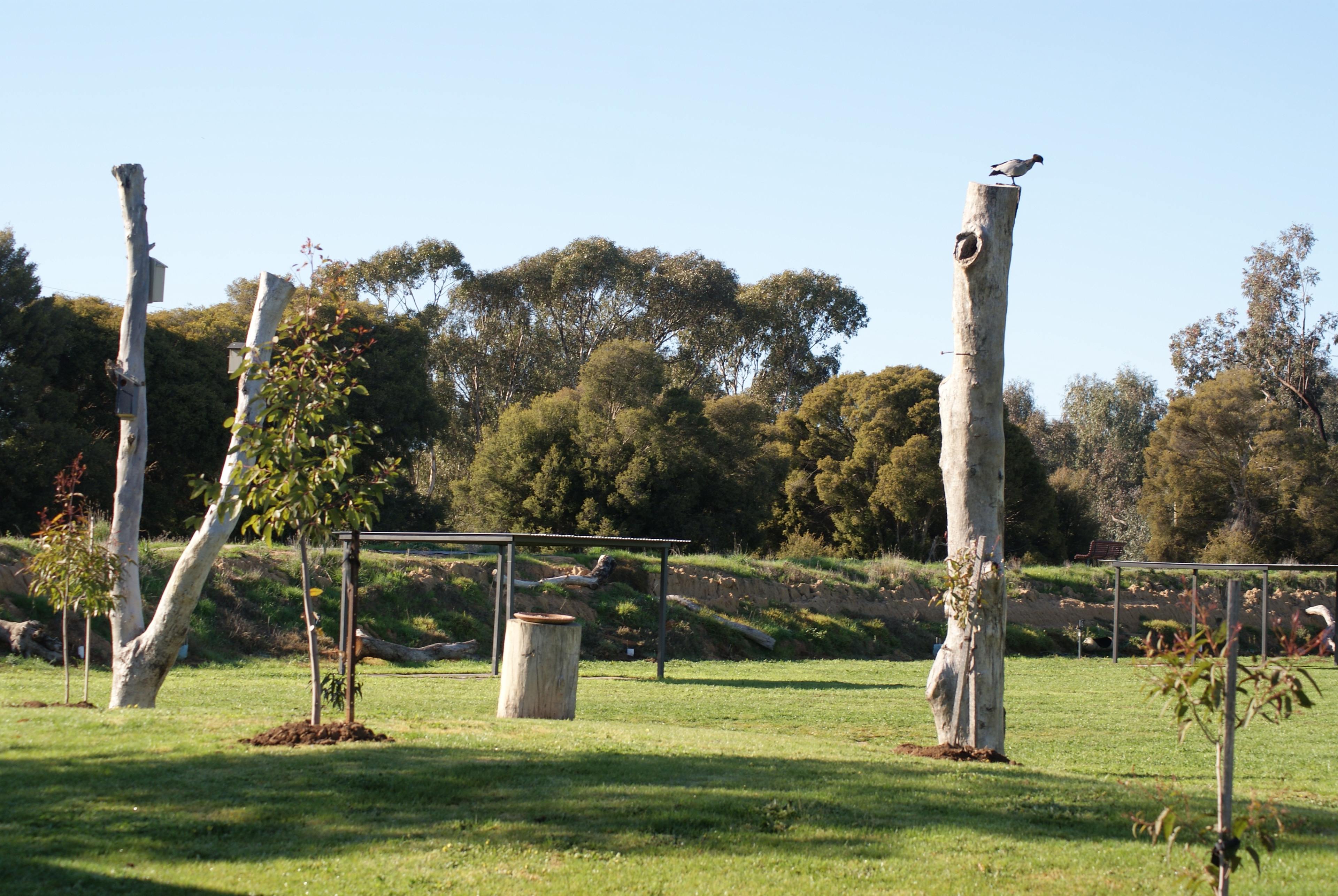 Window to the Wetlands