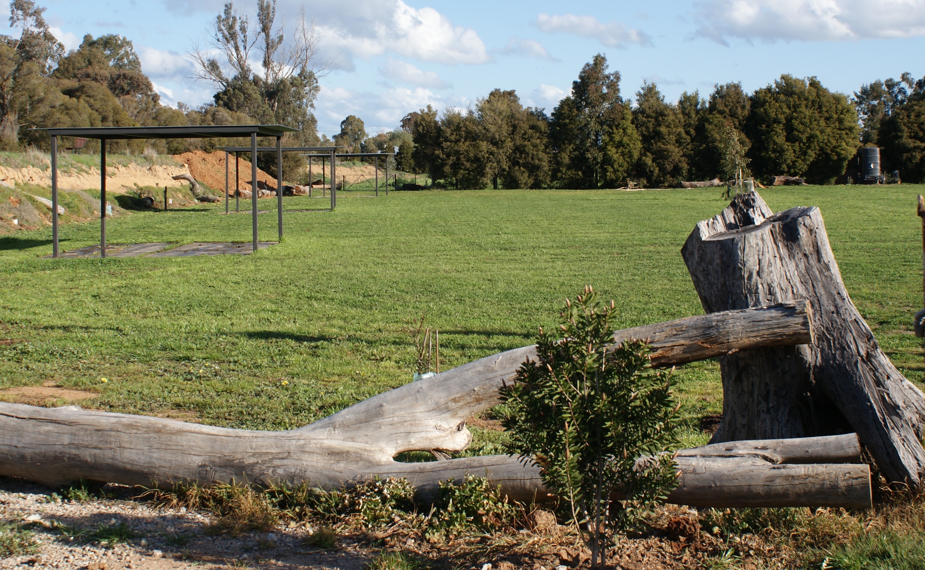 Window to the Wetlands