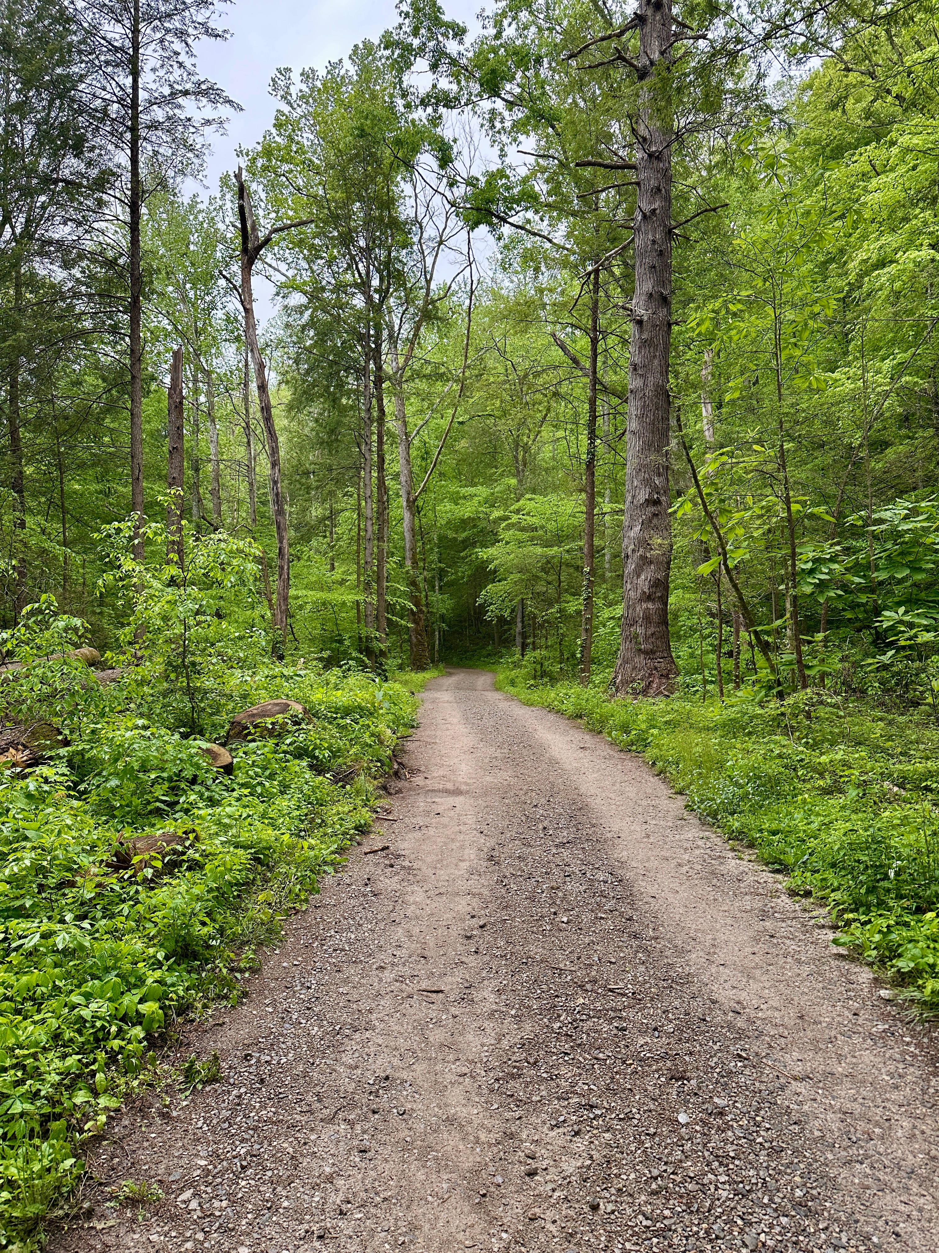 Big South Fork National River and Recreation Area
