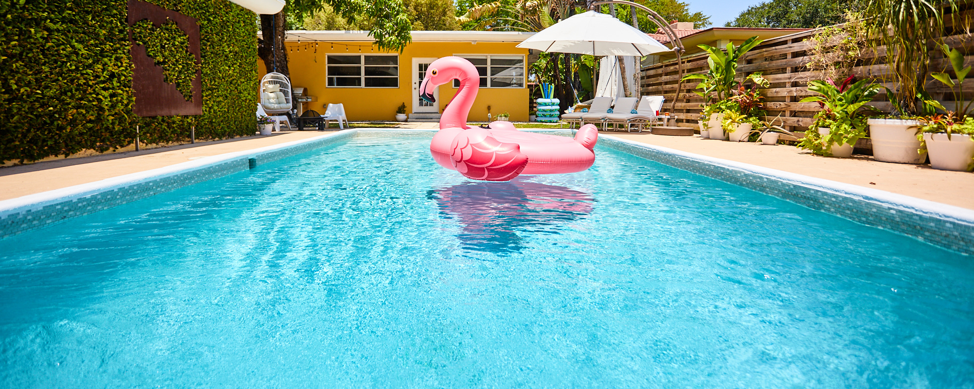 Miami Pool Oasis