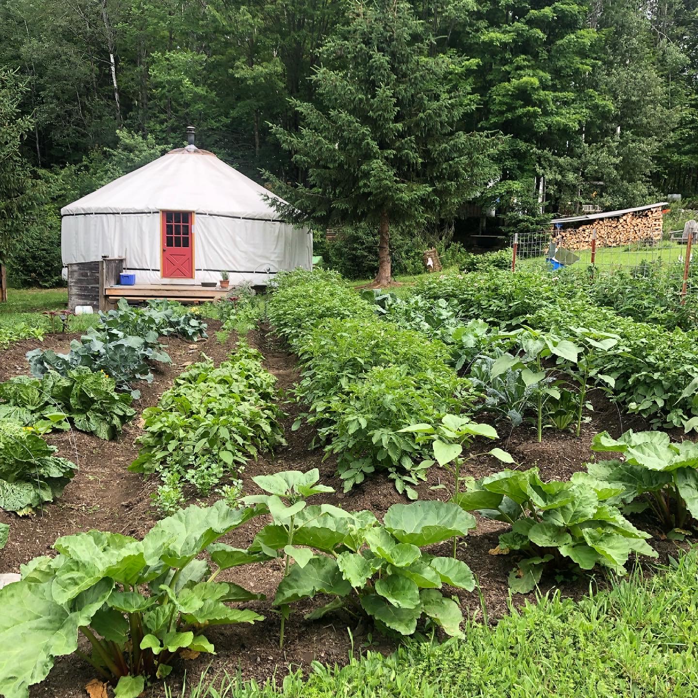 A bountiful organic garden just outside the yurt A beautiful organic garden door! 
