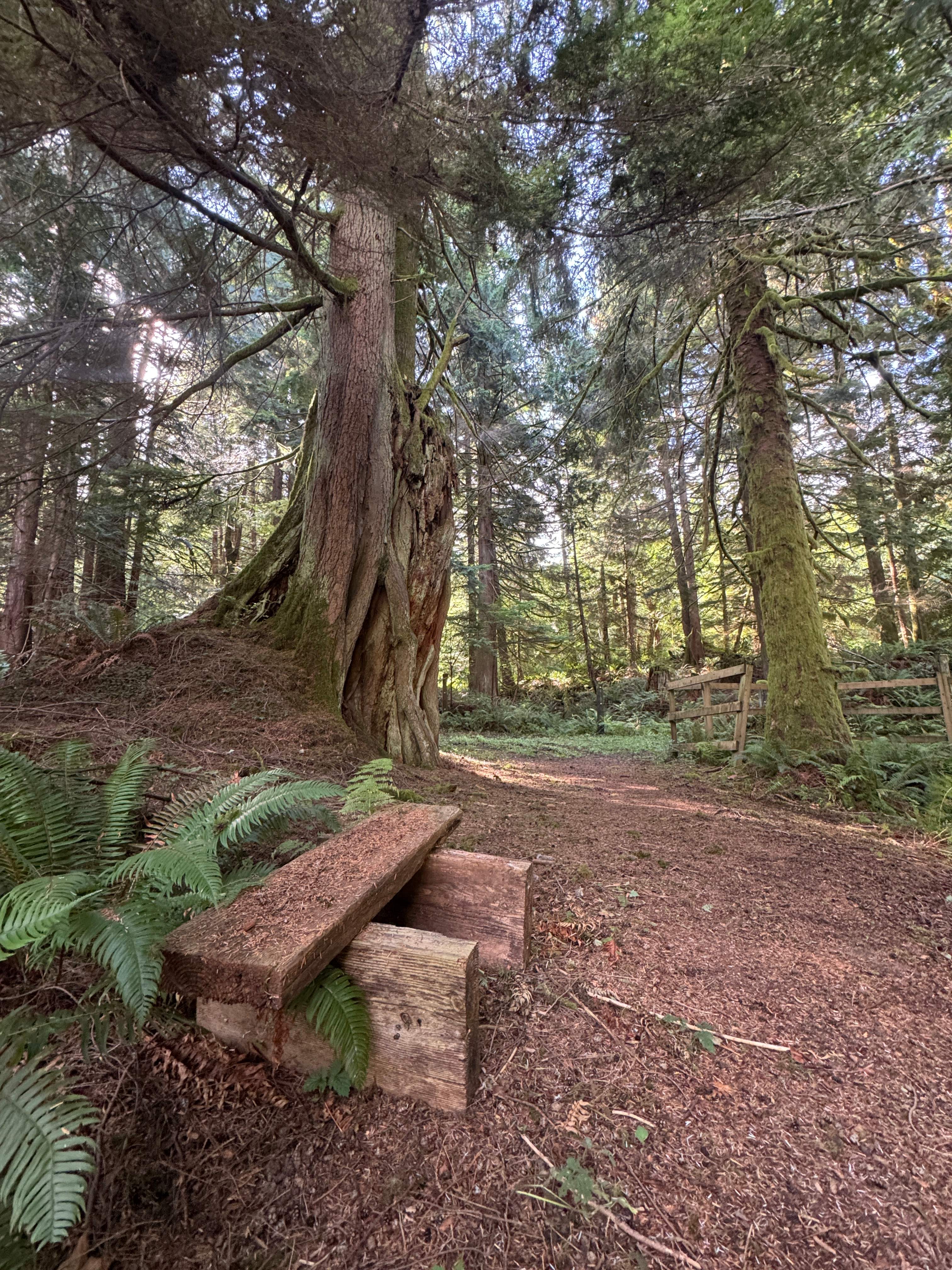 Wildbrook, a Travelers Reprieve