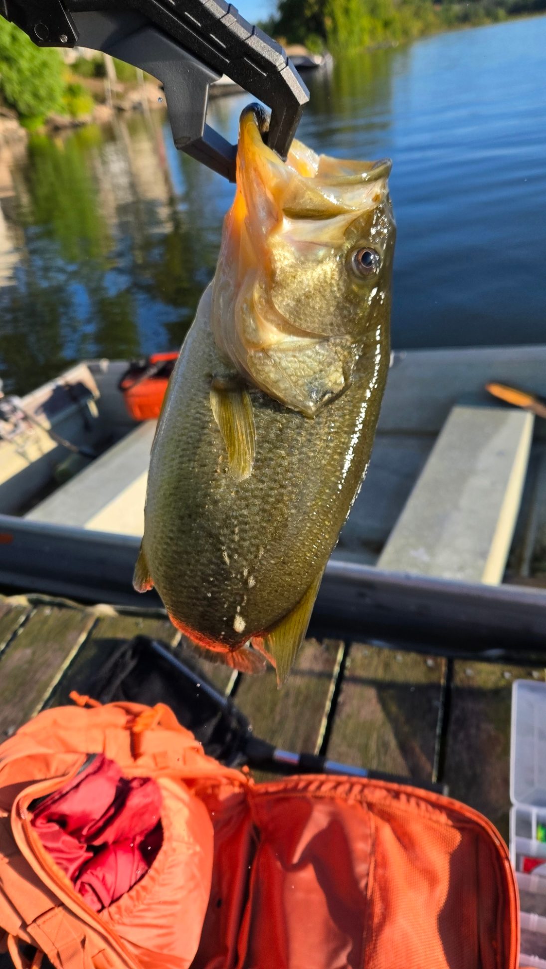 Pretty weedy around the dock, mostly Sunfish around the dock. Hooked a decent bass