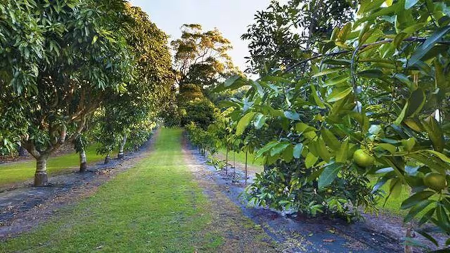 Wallis Island Camp area