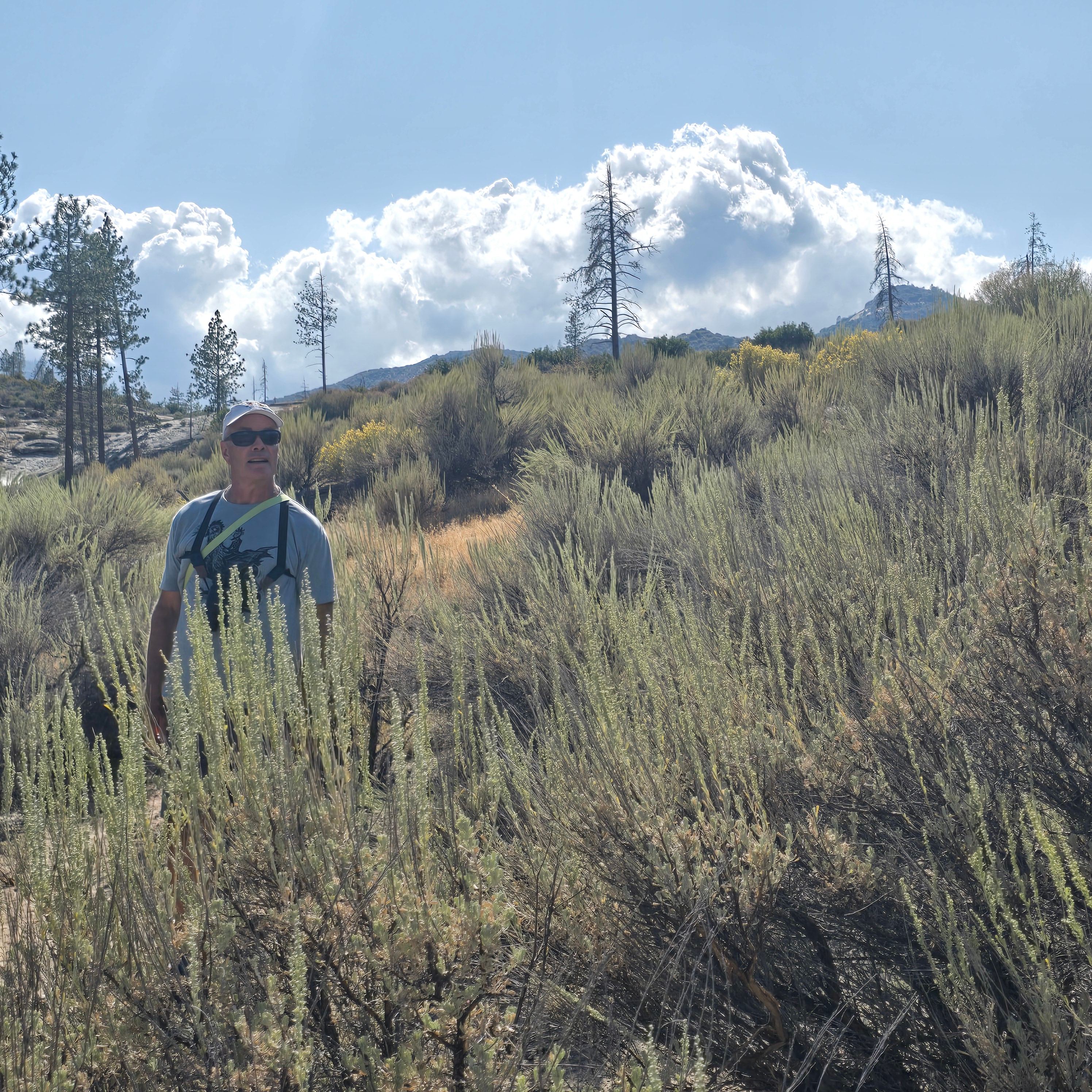 Hospital Flat Campground