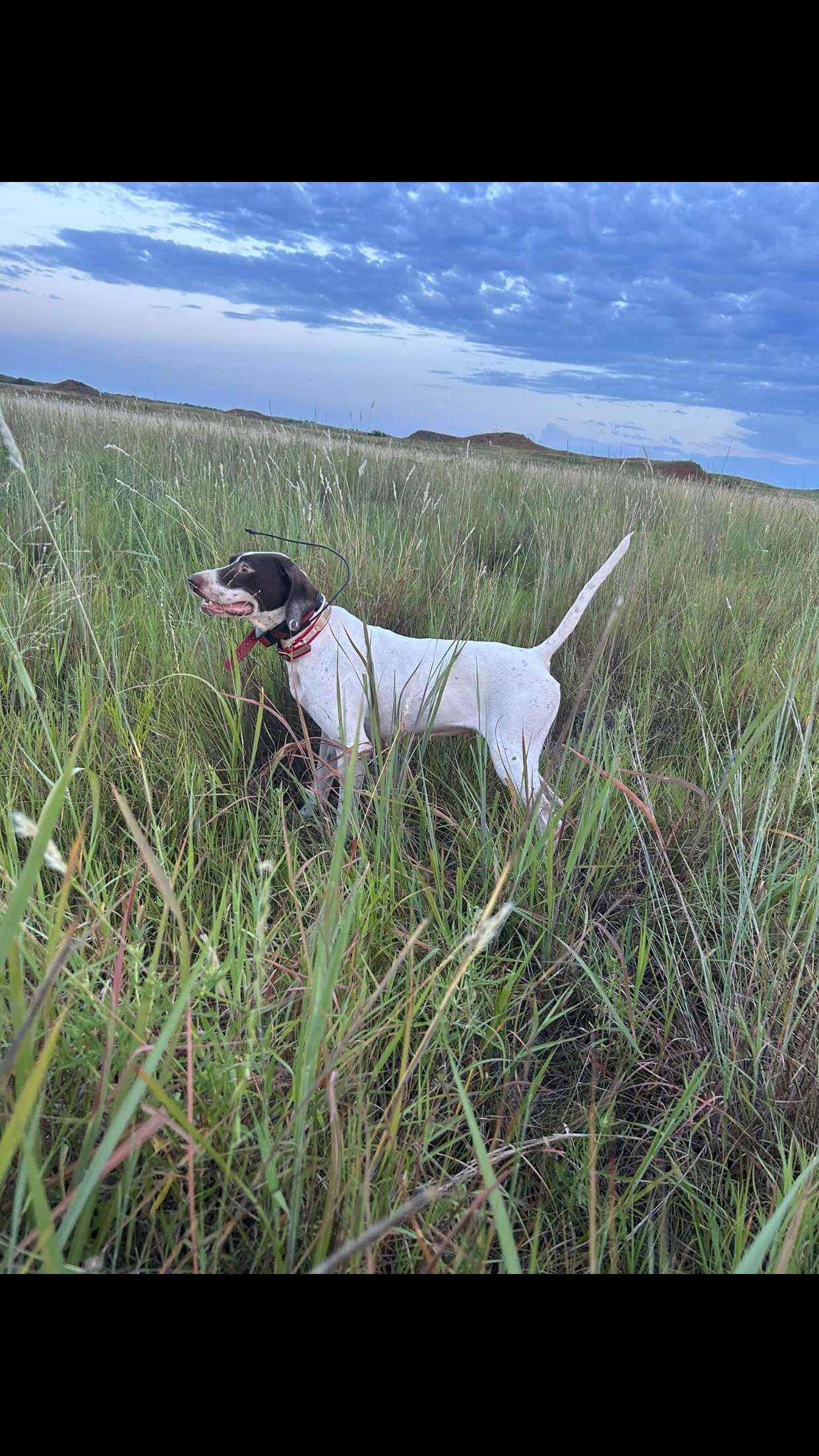 Croton Creek Guest Ranch