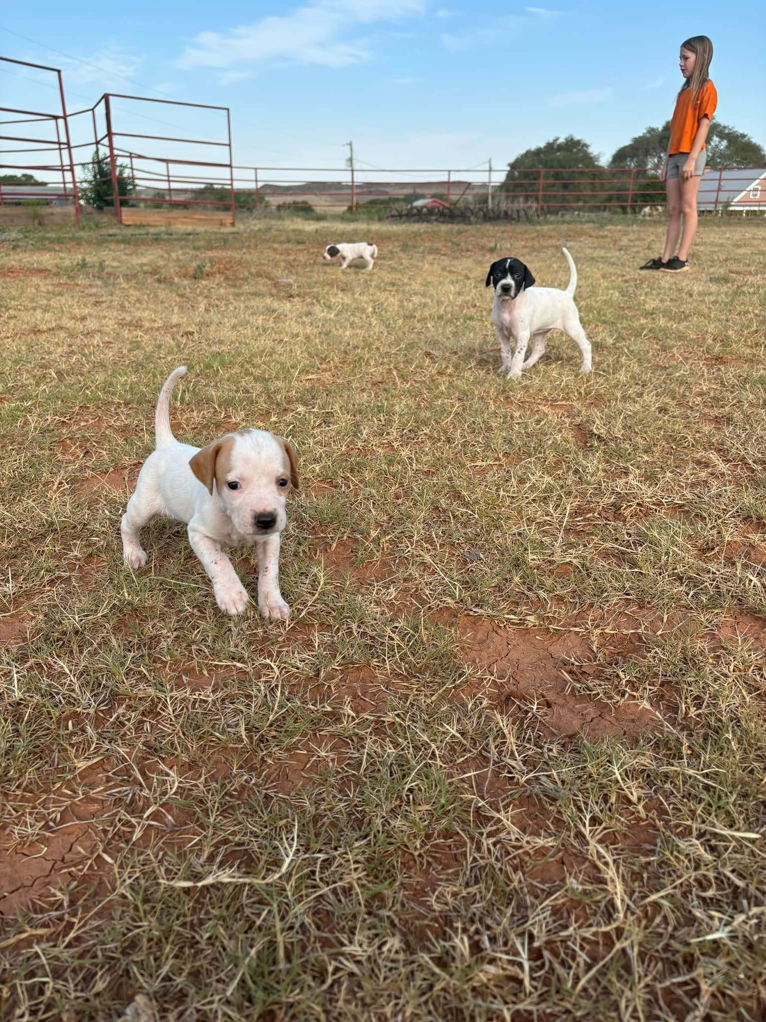 Croton Creek Guest Ranch