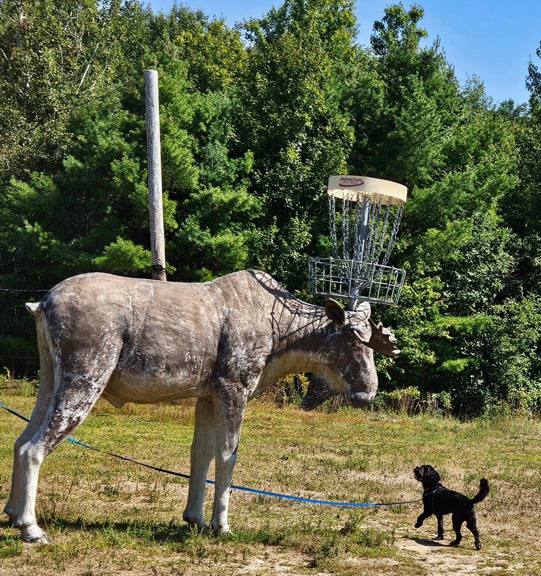 No worries Mom & Dad, I'll protect you. Lol!