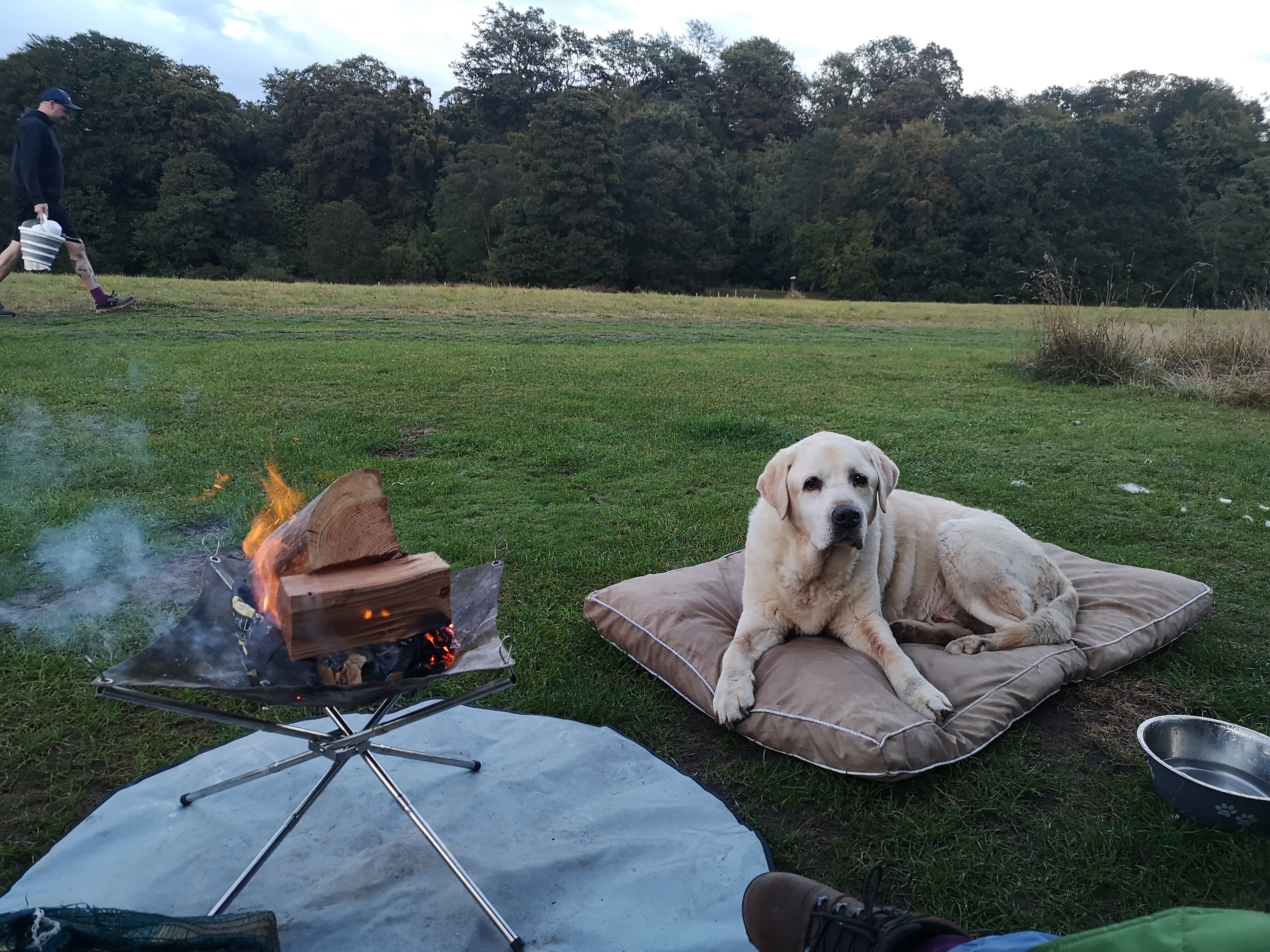 Walkmill Campsite