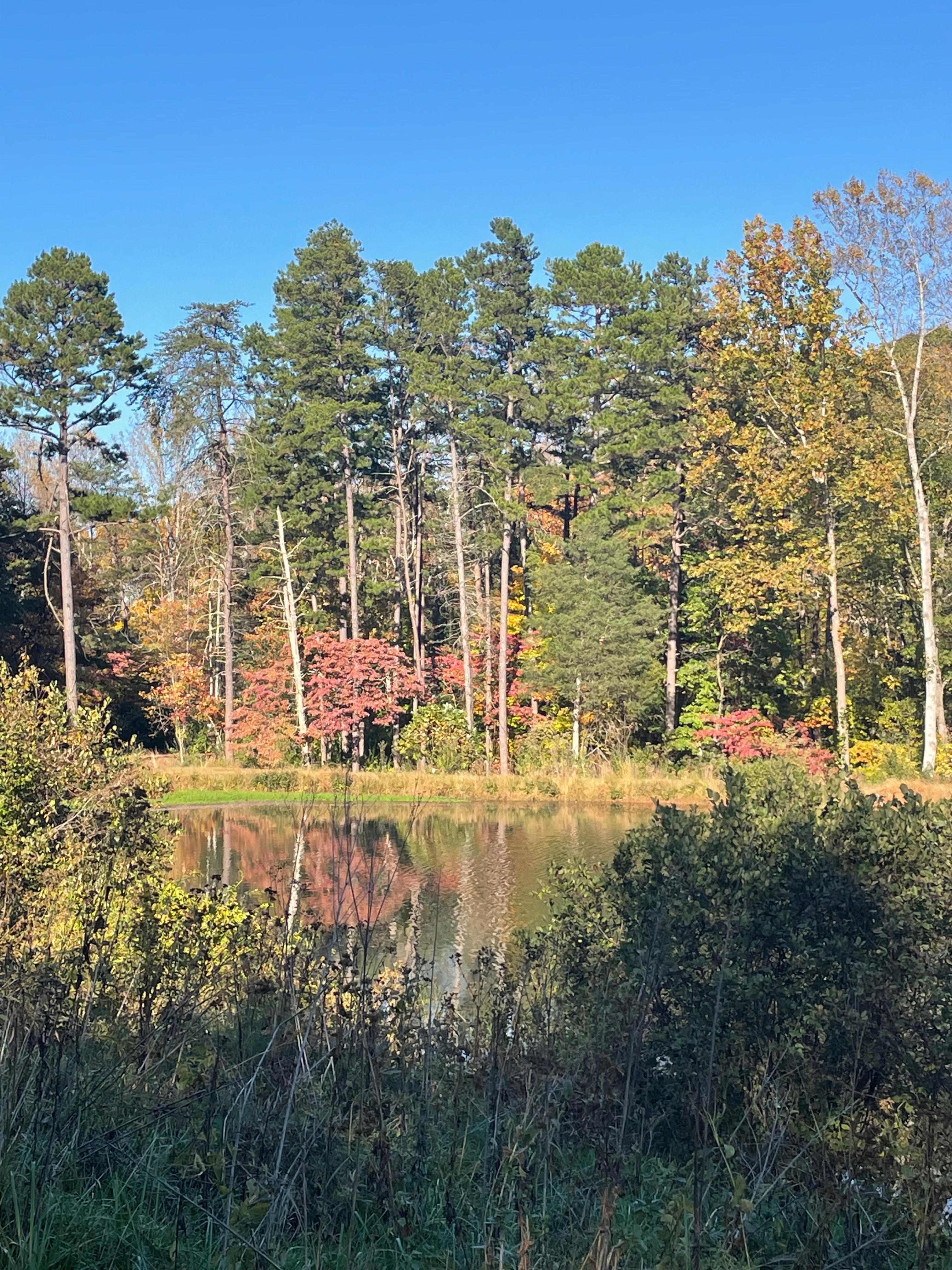 Ridge Crest Hollow and Lake