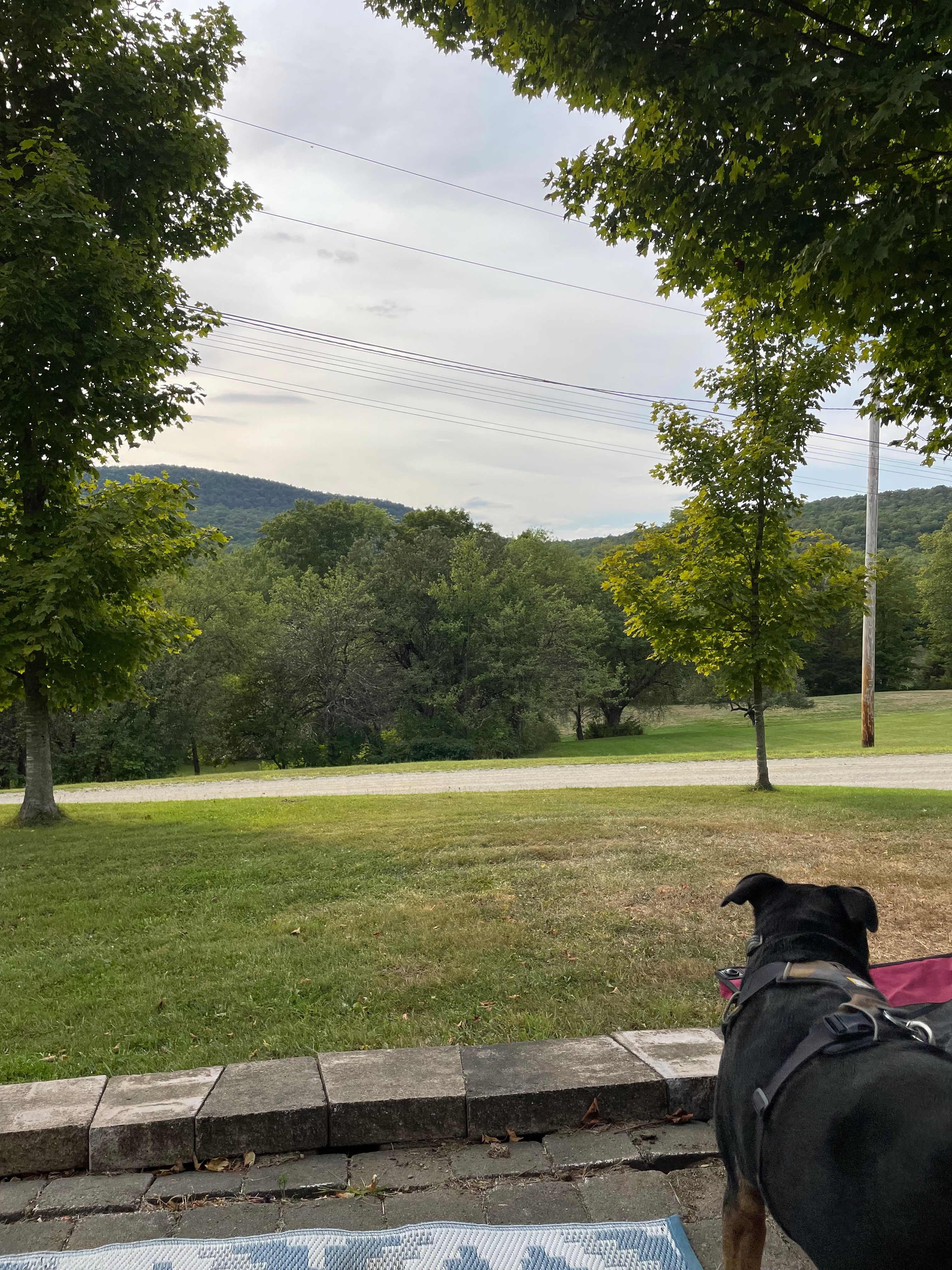 Golden Maple Farm - Camping