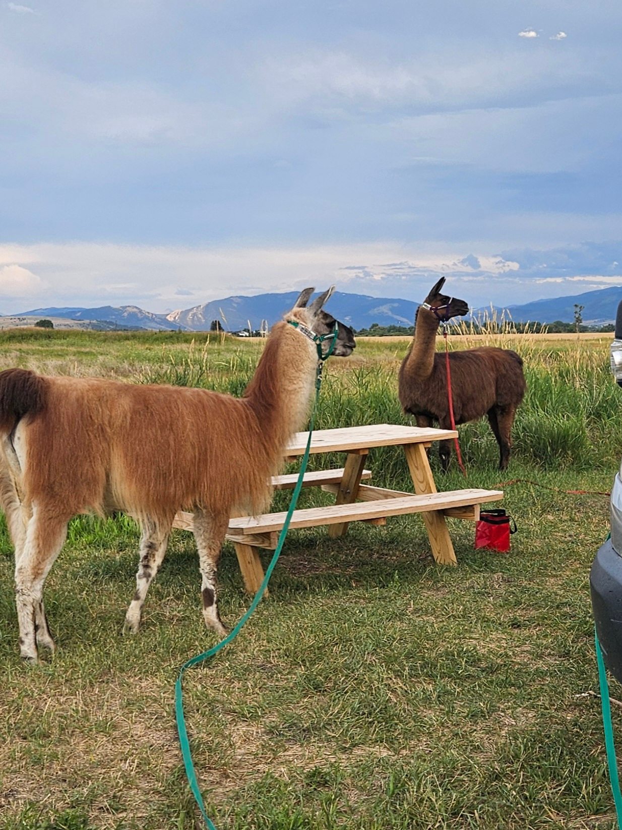 Creekside at Liberty Acres Bozeman