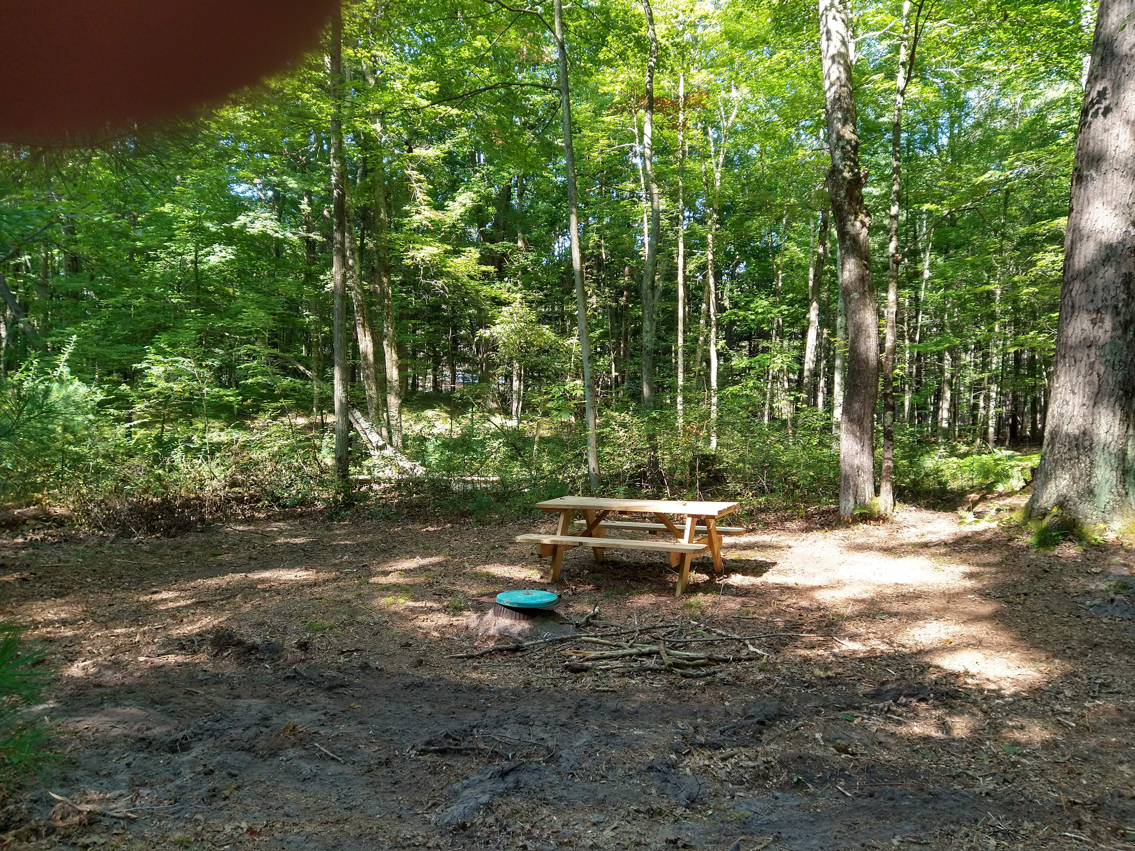 Valley of the Giants Camp