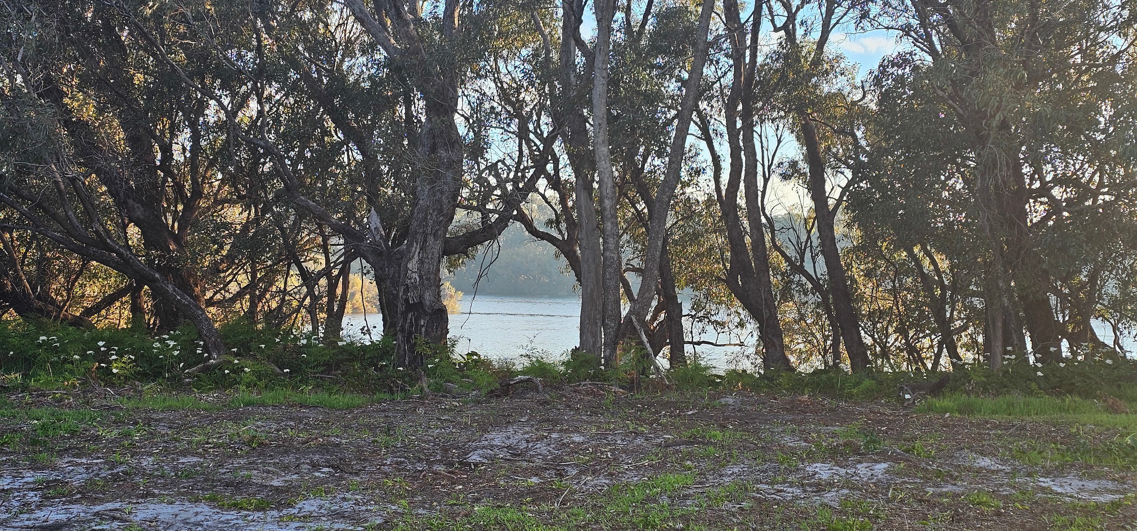 Herron Point Farm Stay